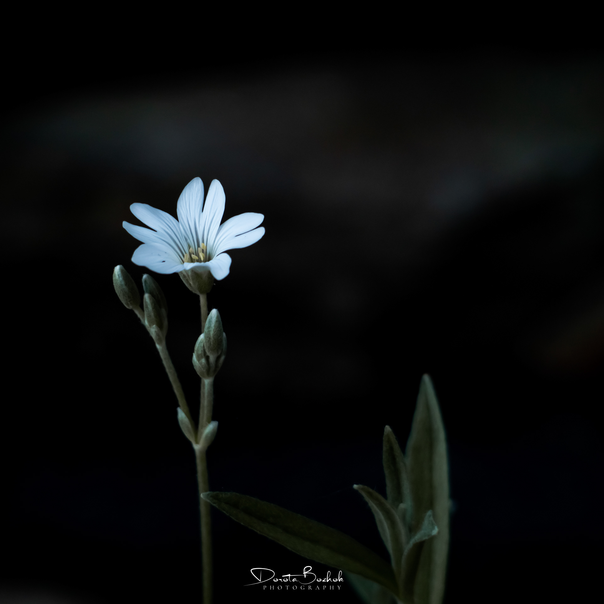 151/365