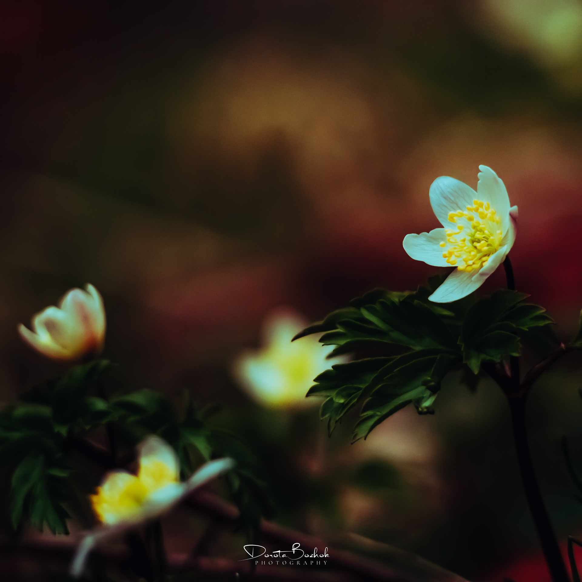 83/365
