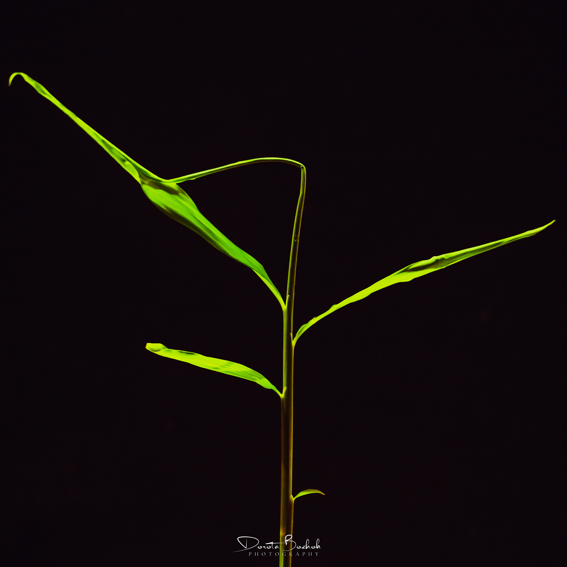 107/365