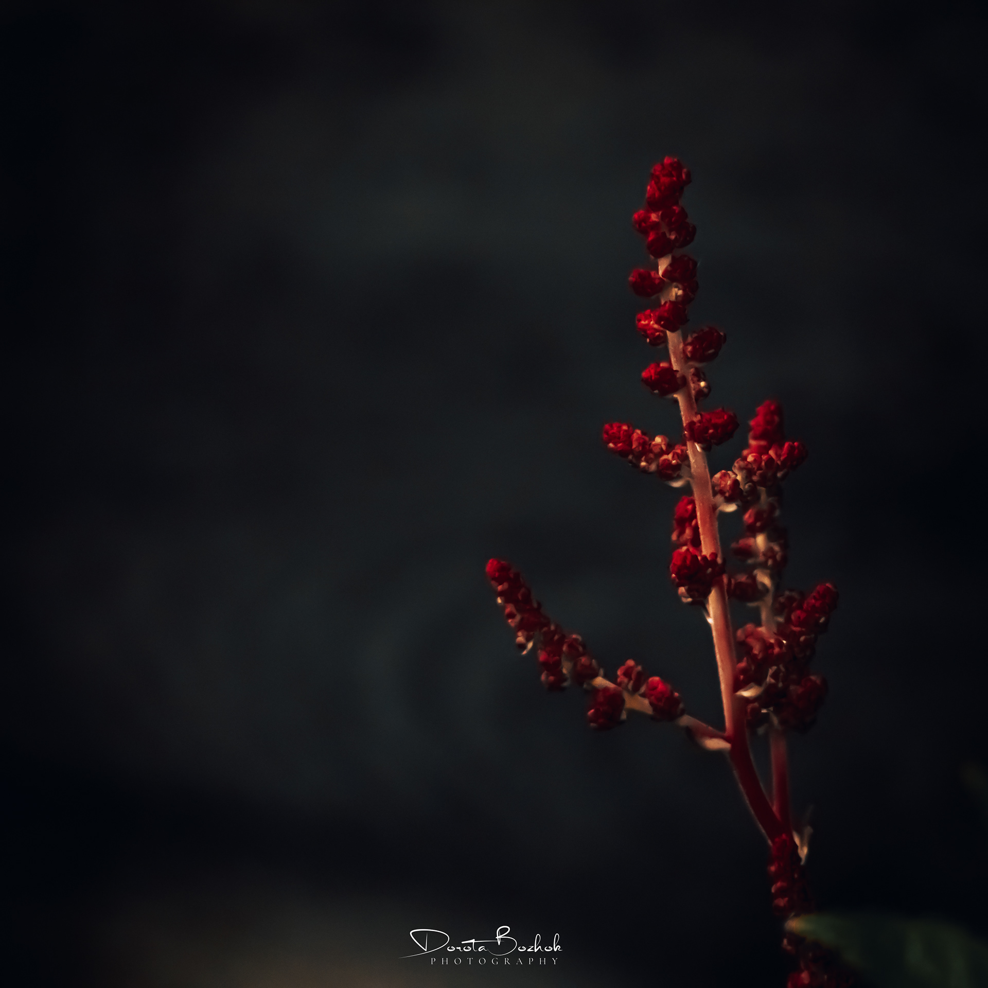 181/365