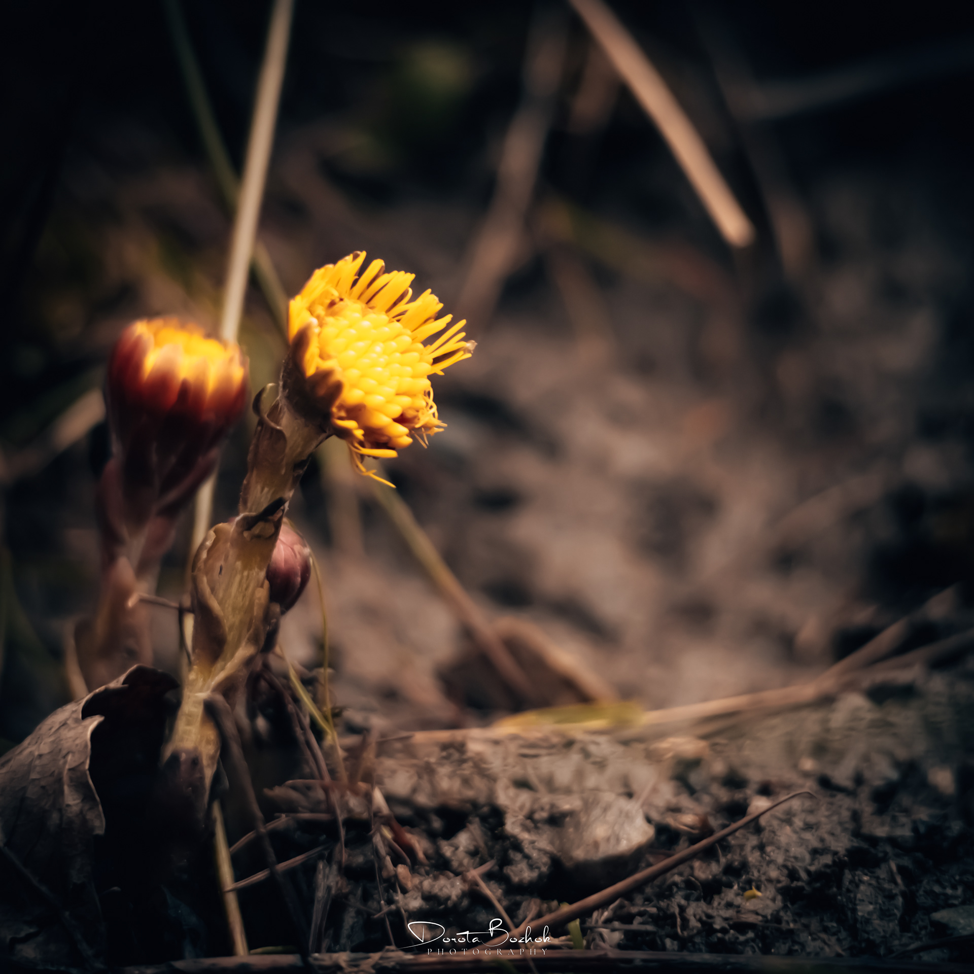 72/365