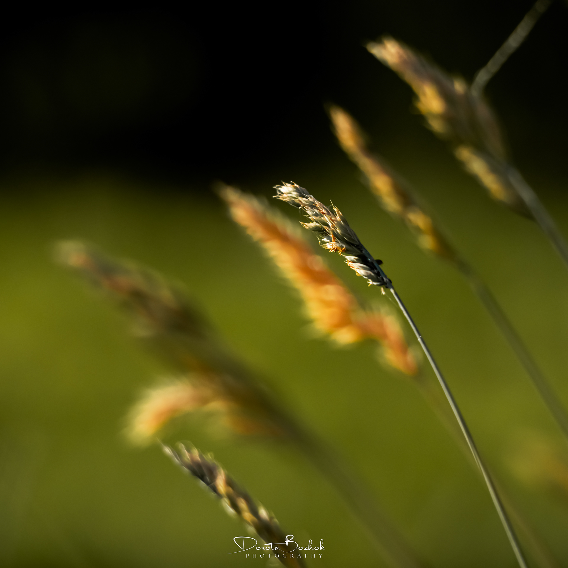 187/365