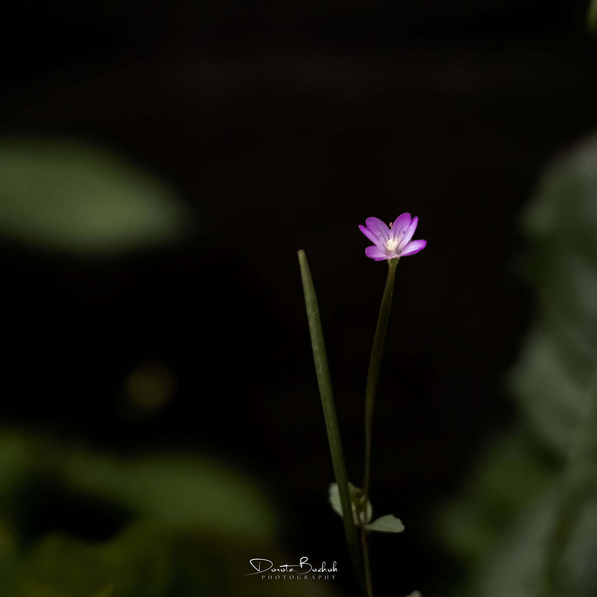 211/365