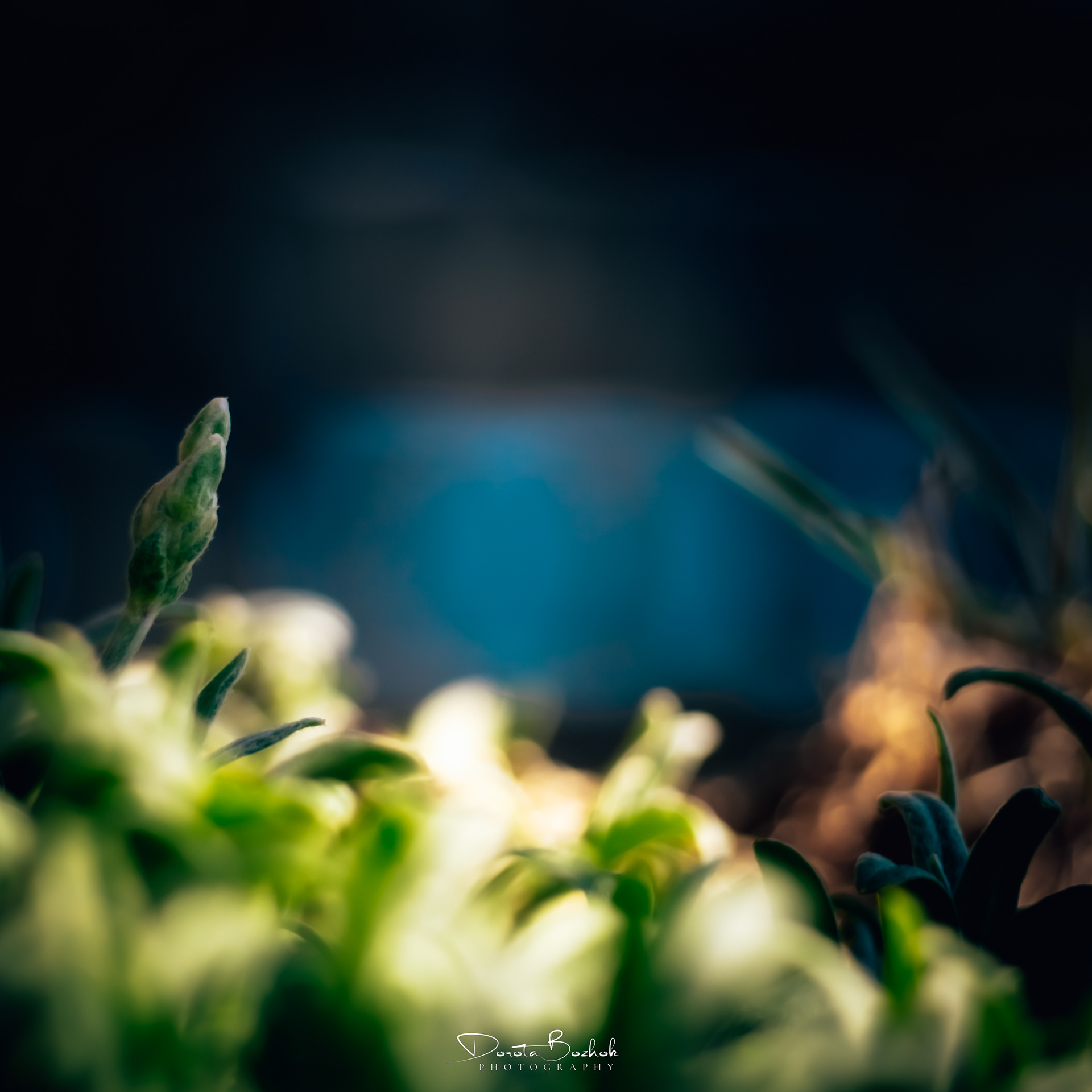 102/365