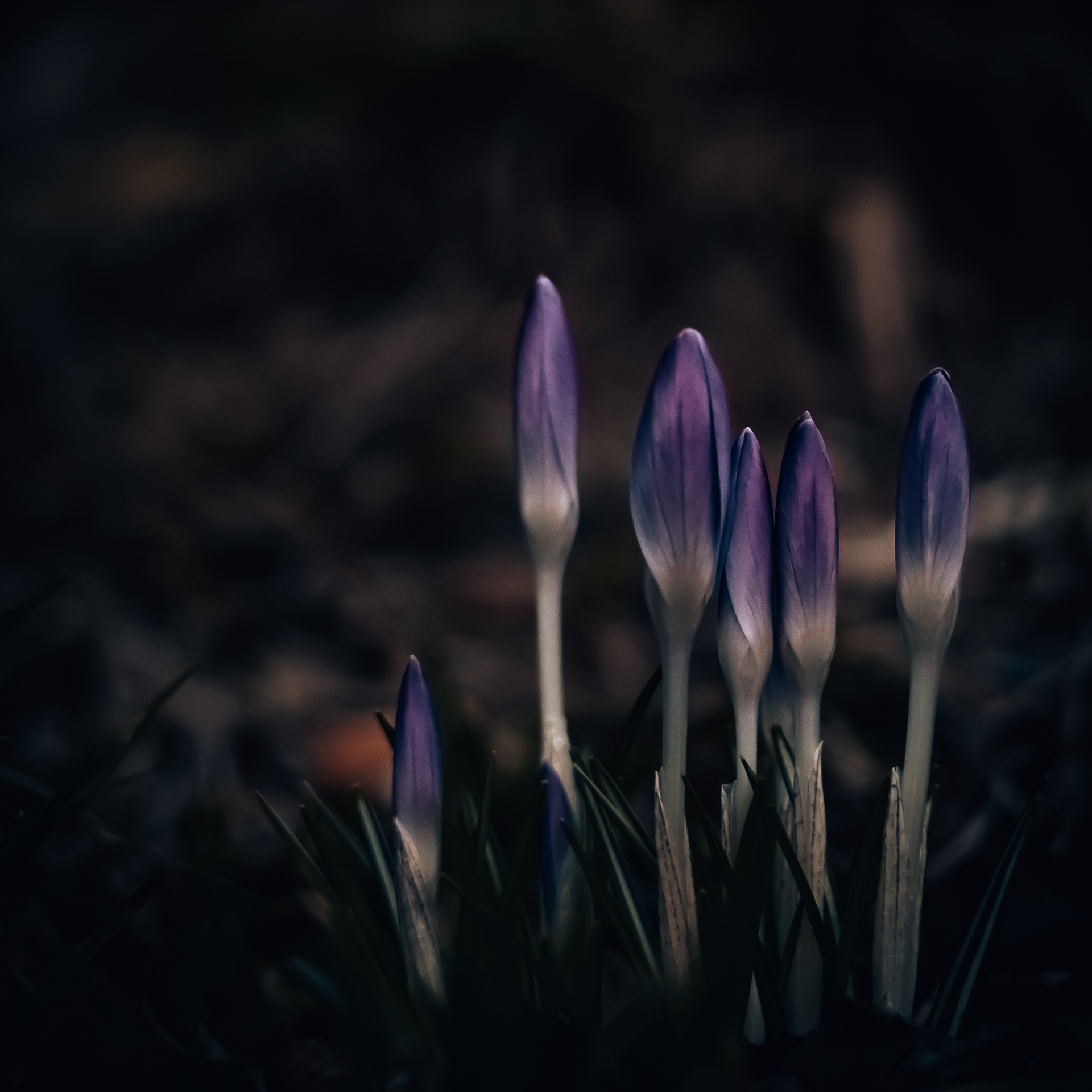 54/365