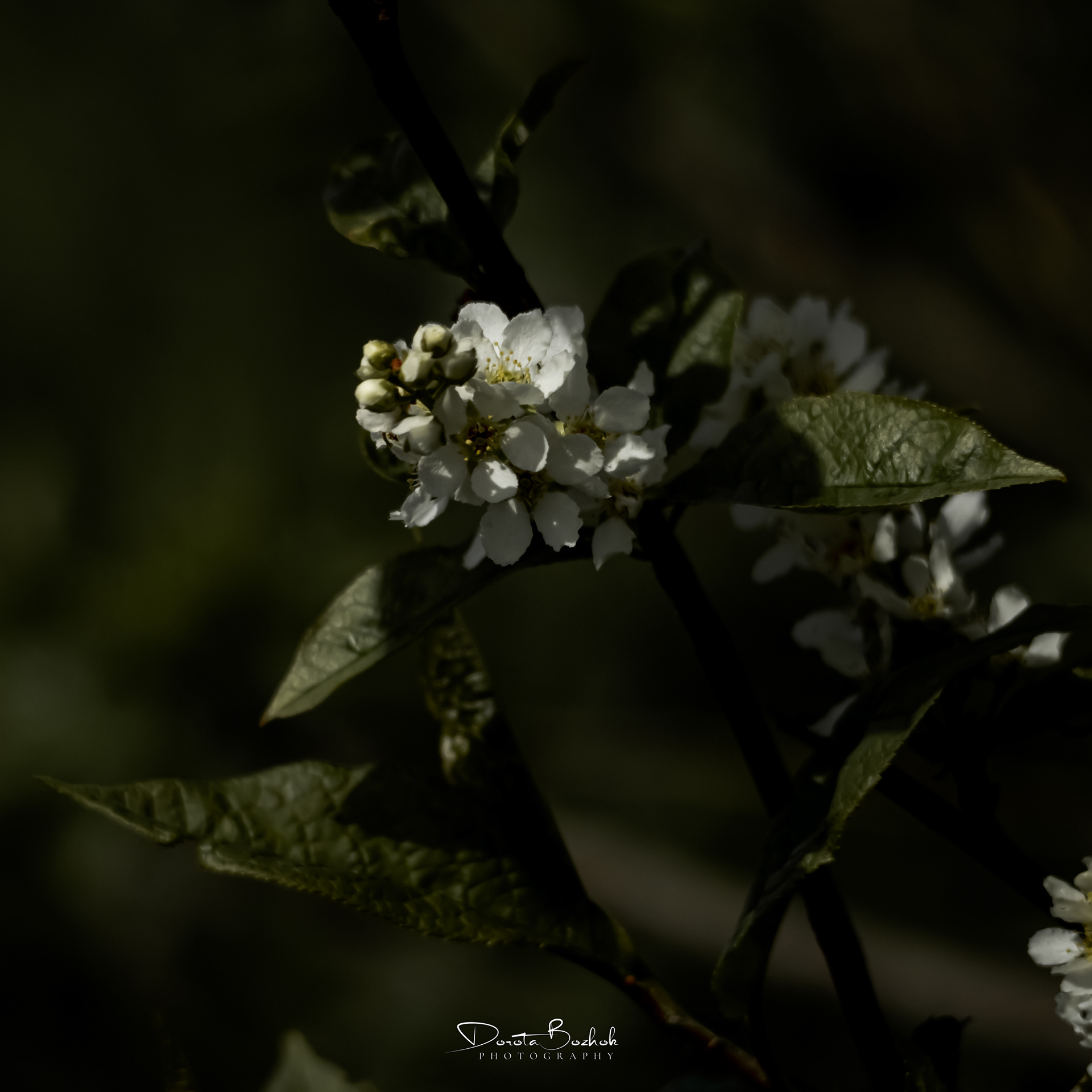 121/365