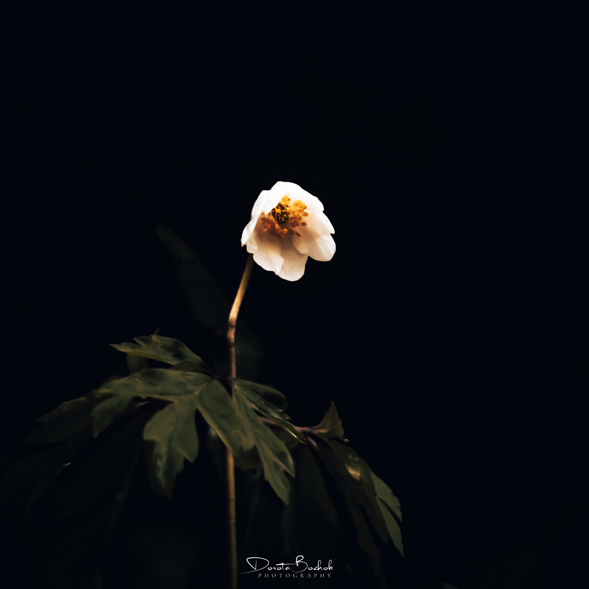 109/365