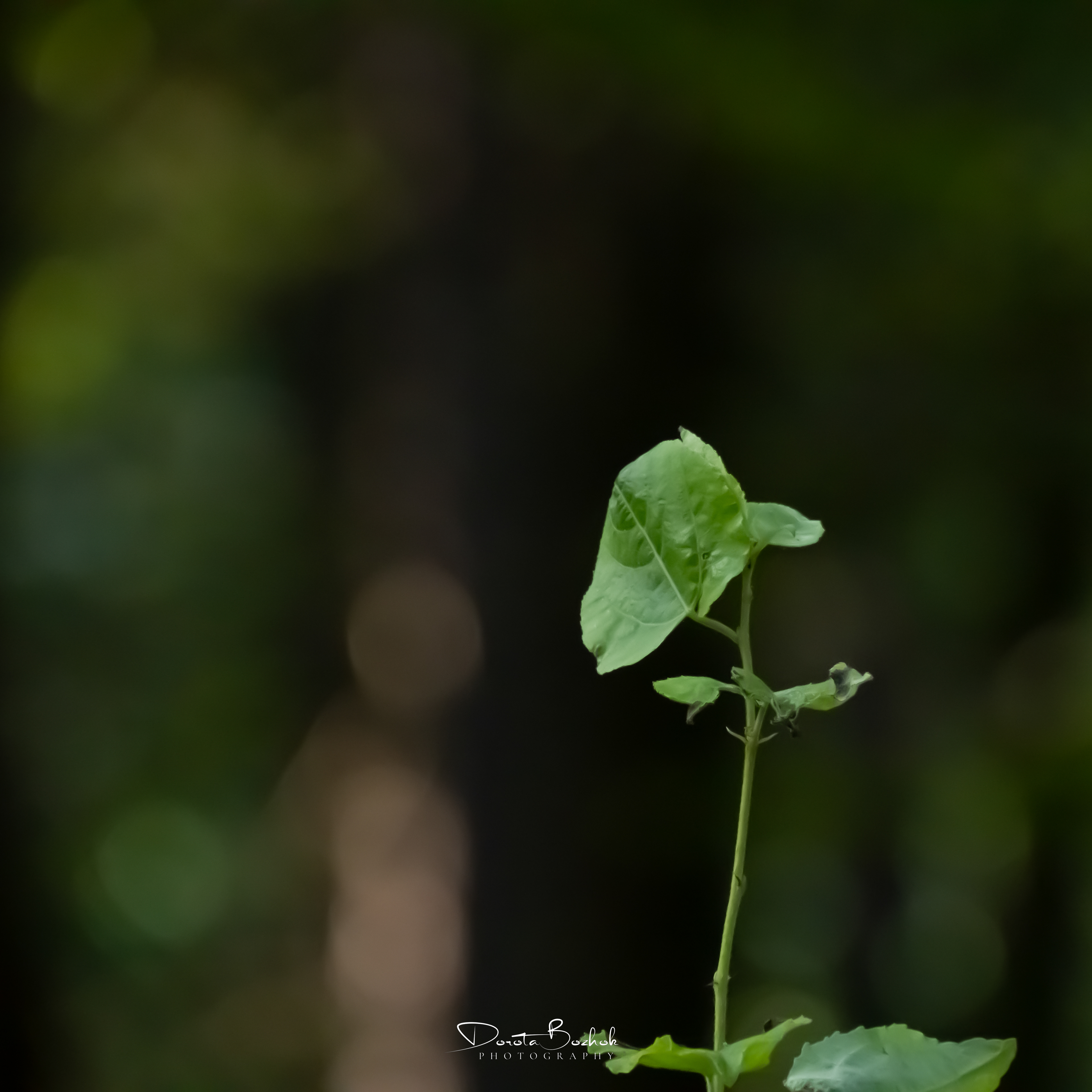 236/365