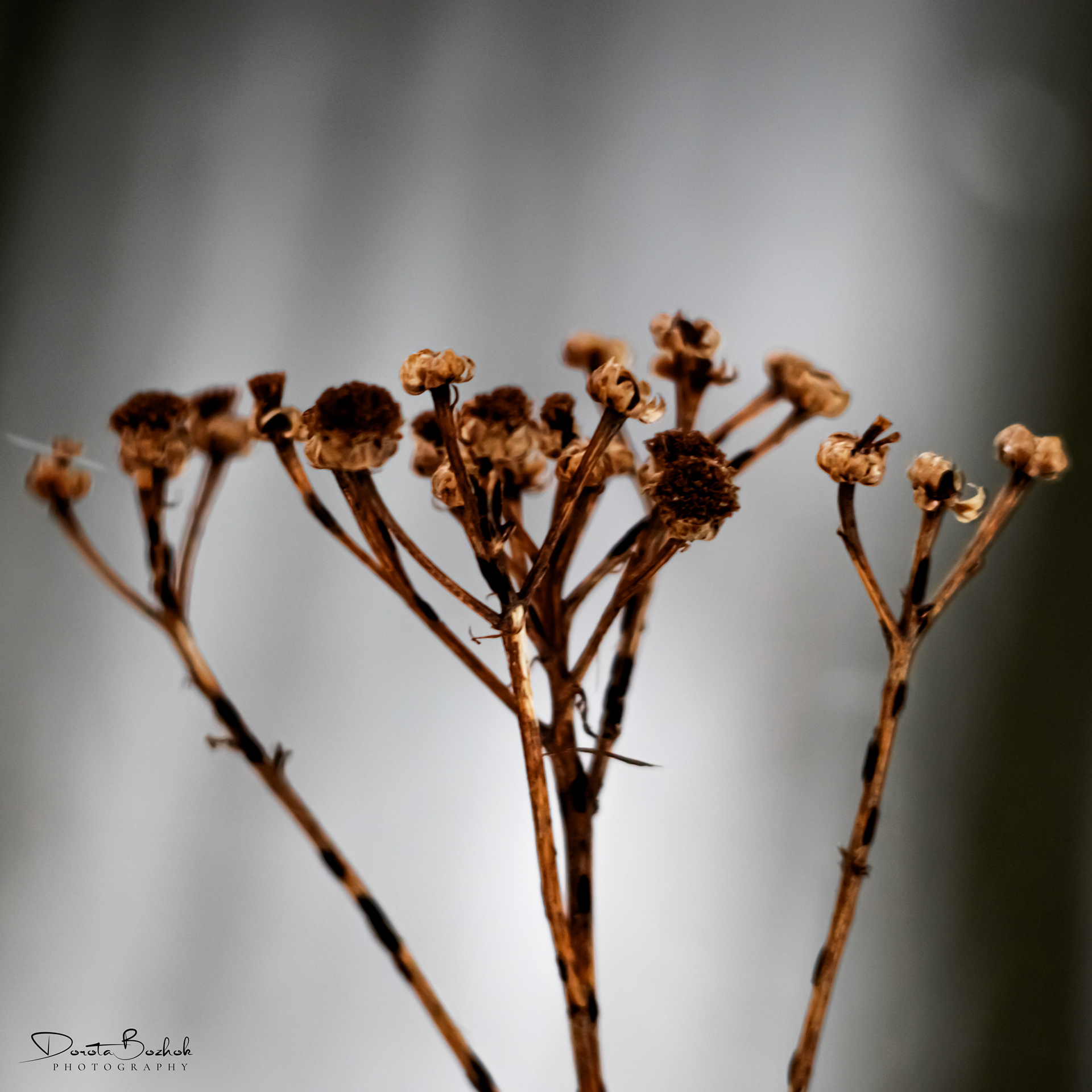 70/365