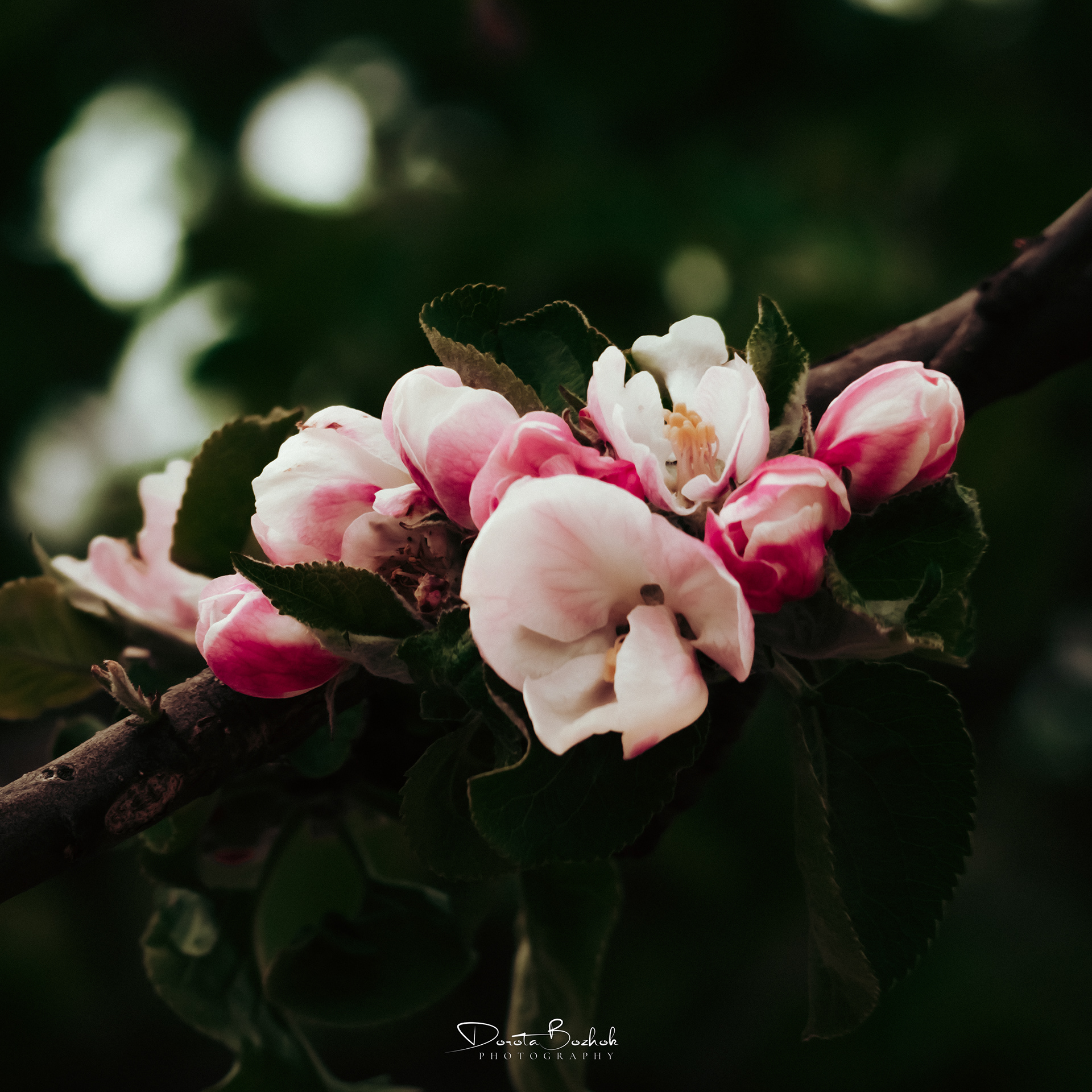 132/365