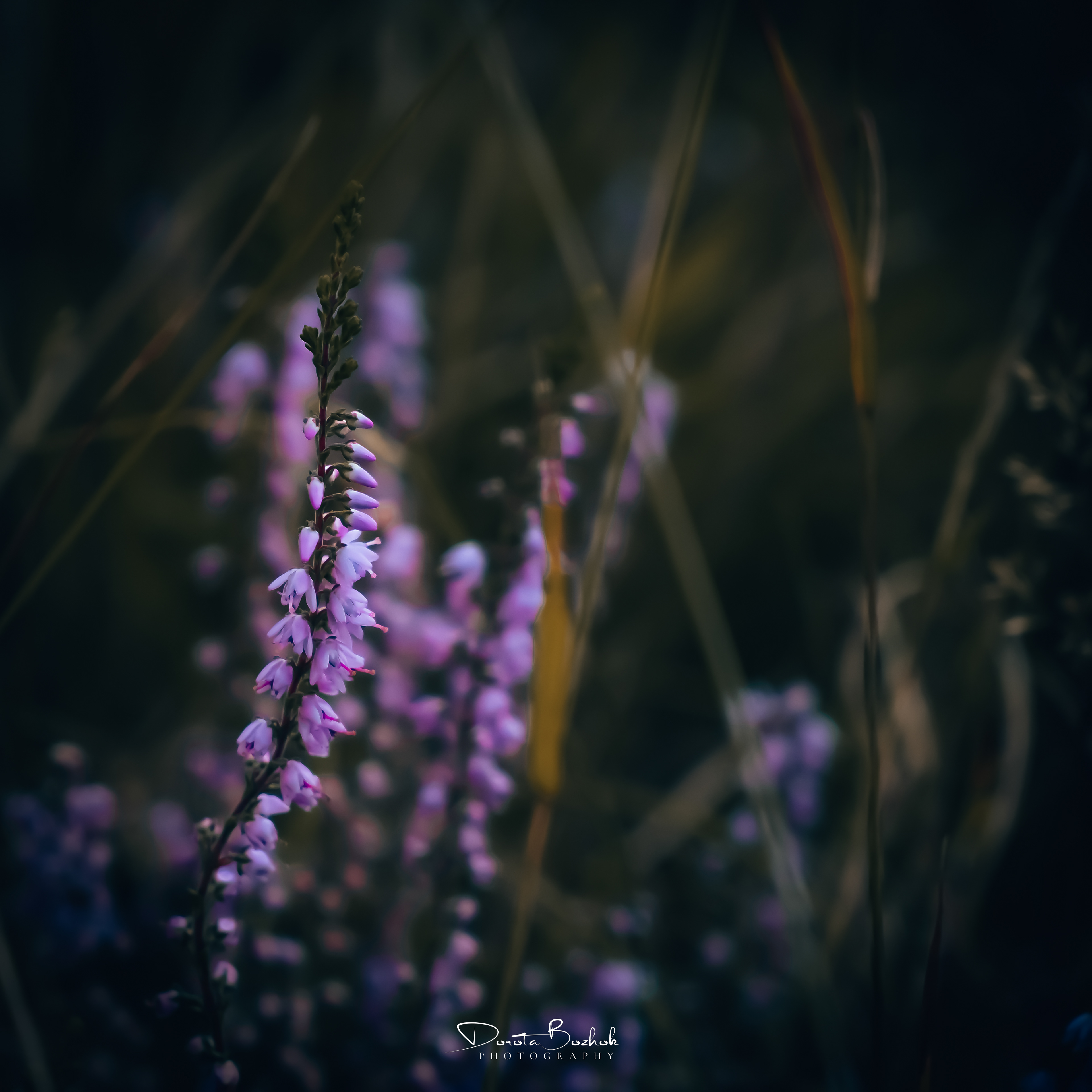 257/365