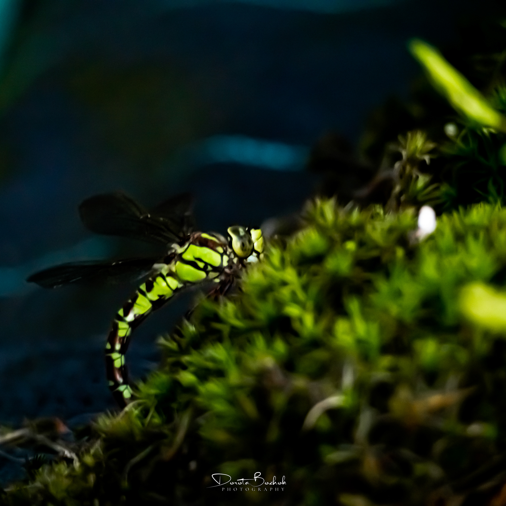 222/365
