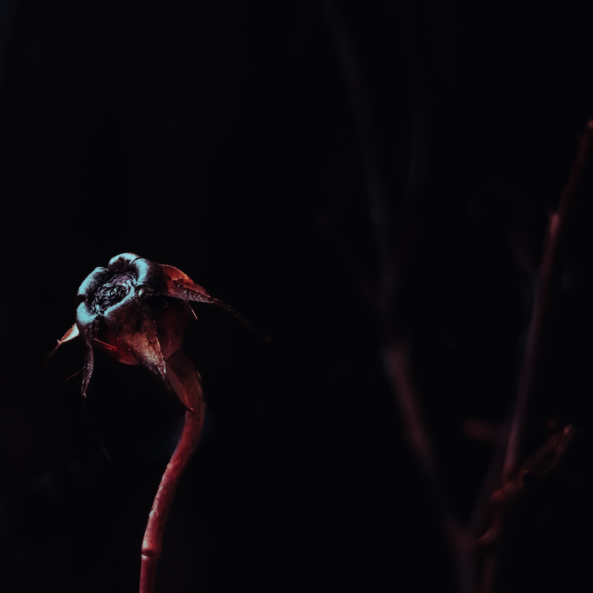 43/365