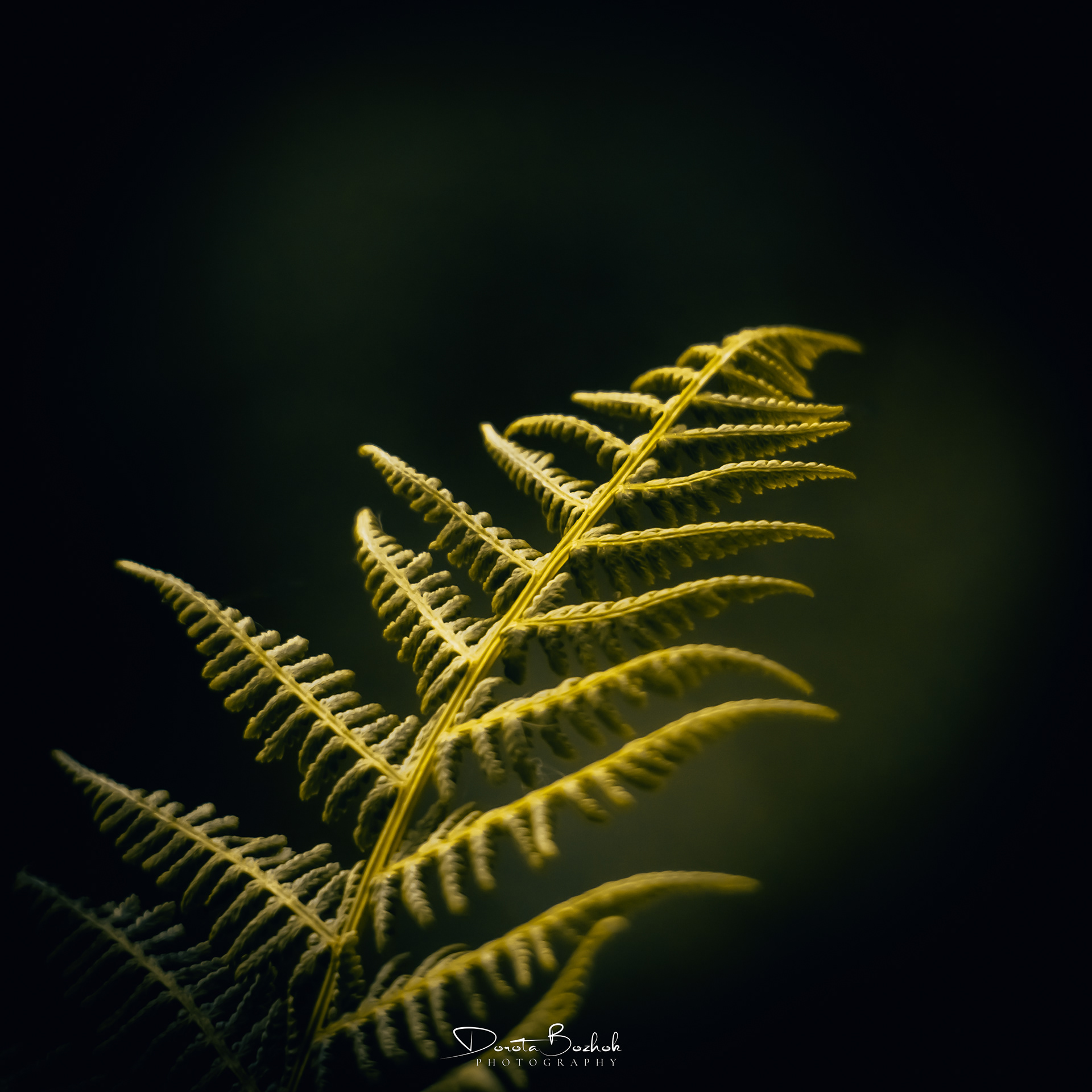 164/365