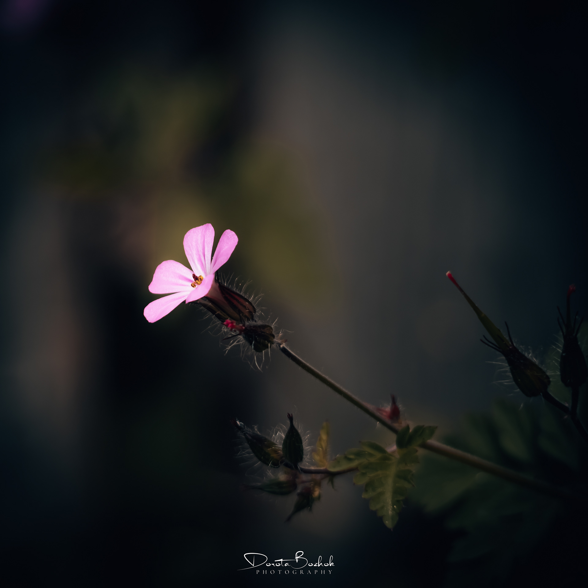 165/365