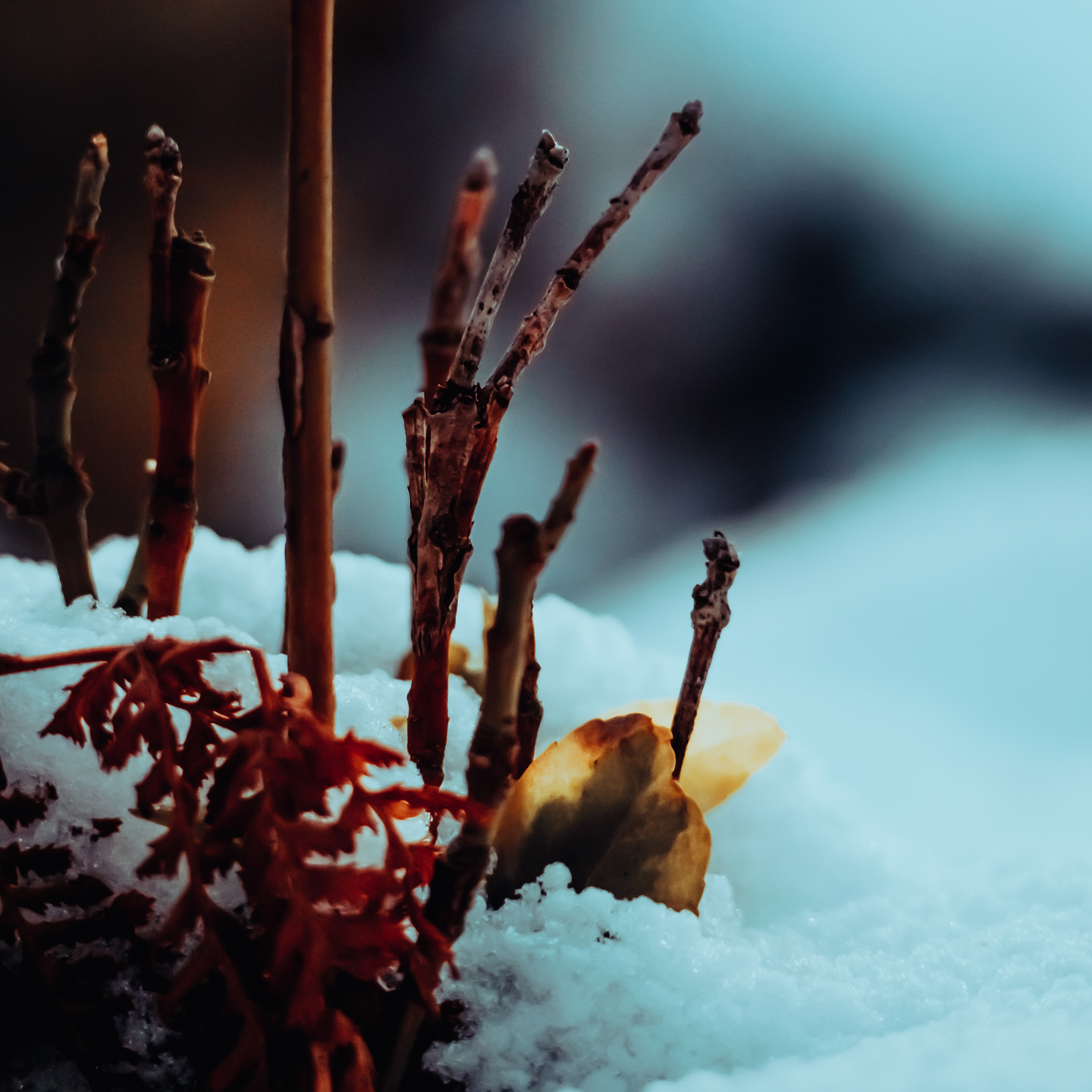 38/365