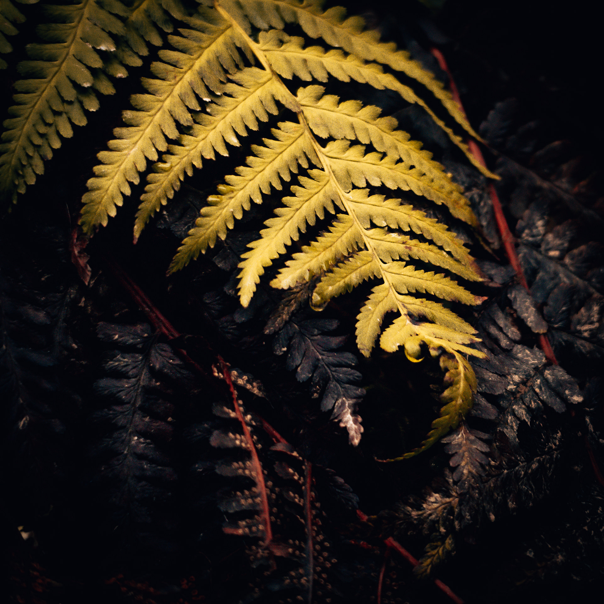 53/365