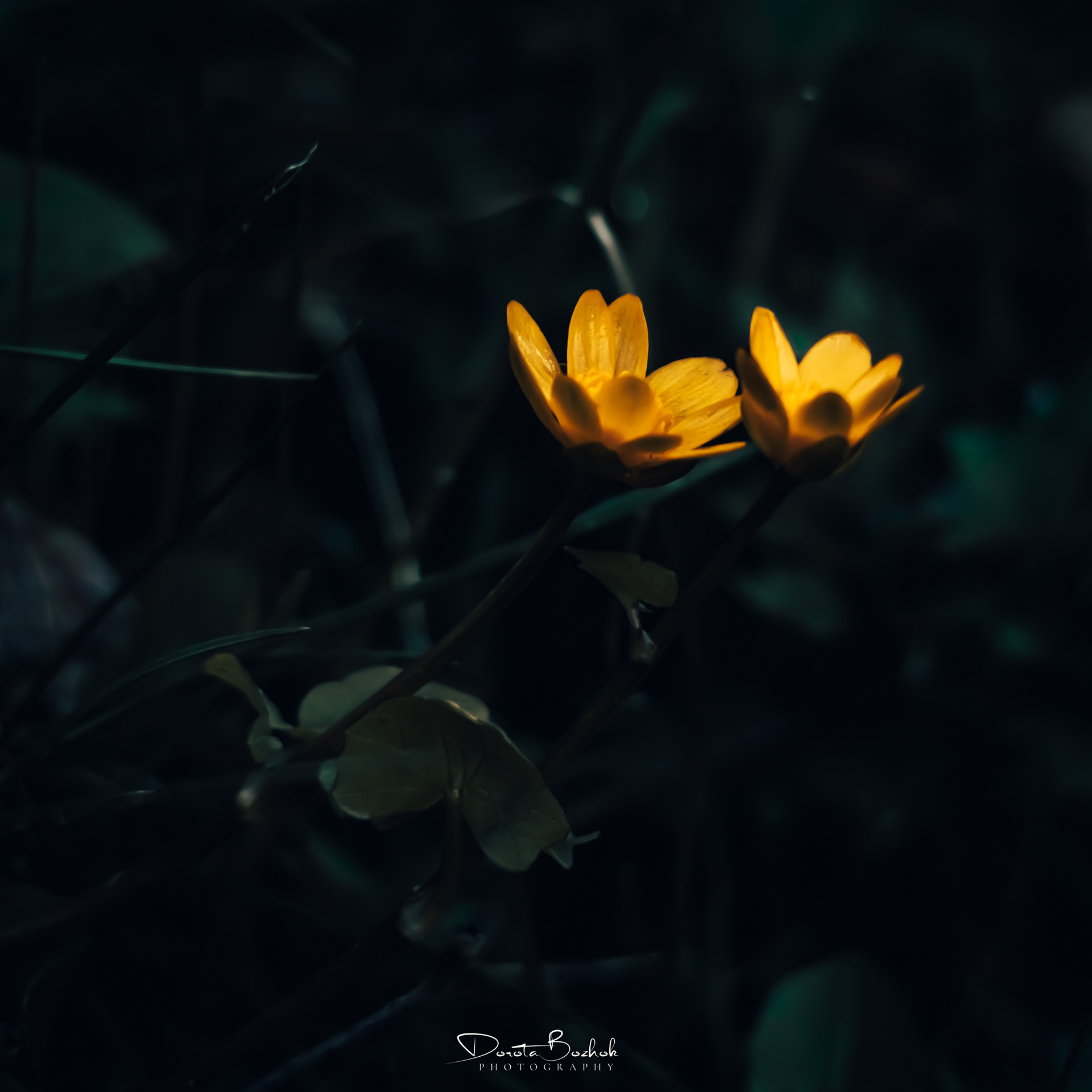 111/365