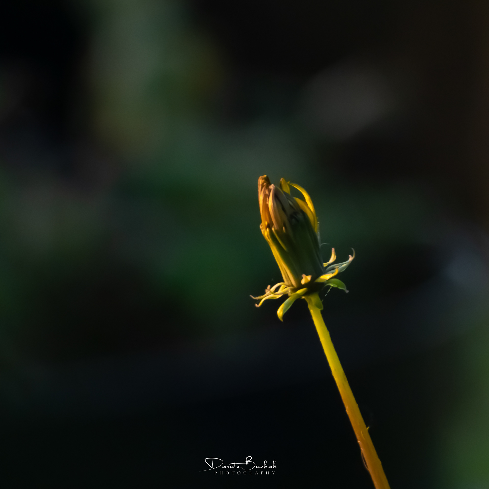 223/365