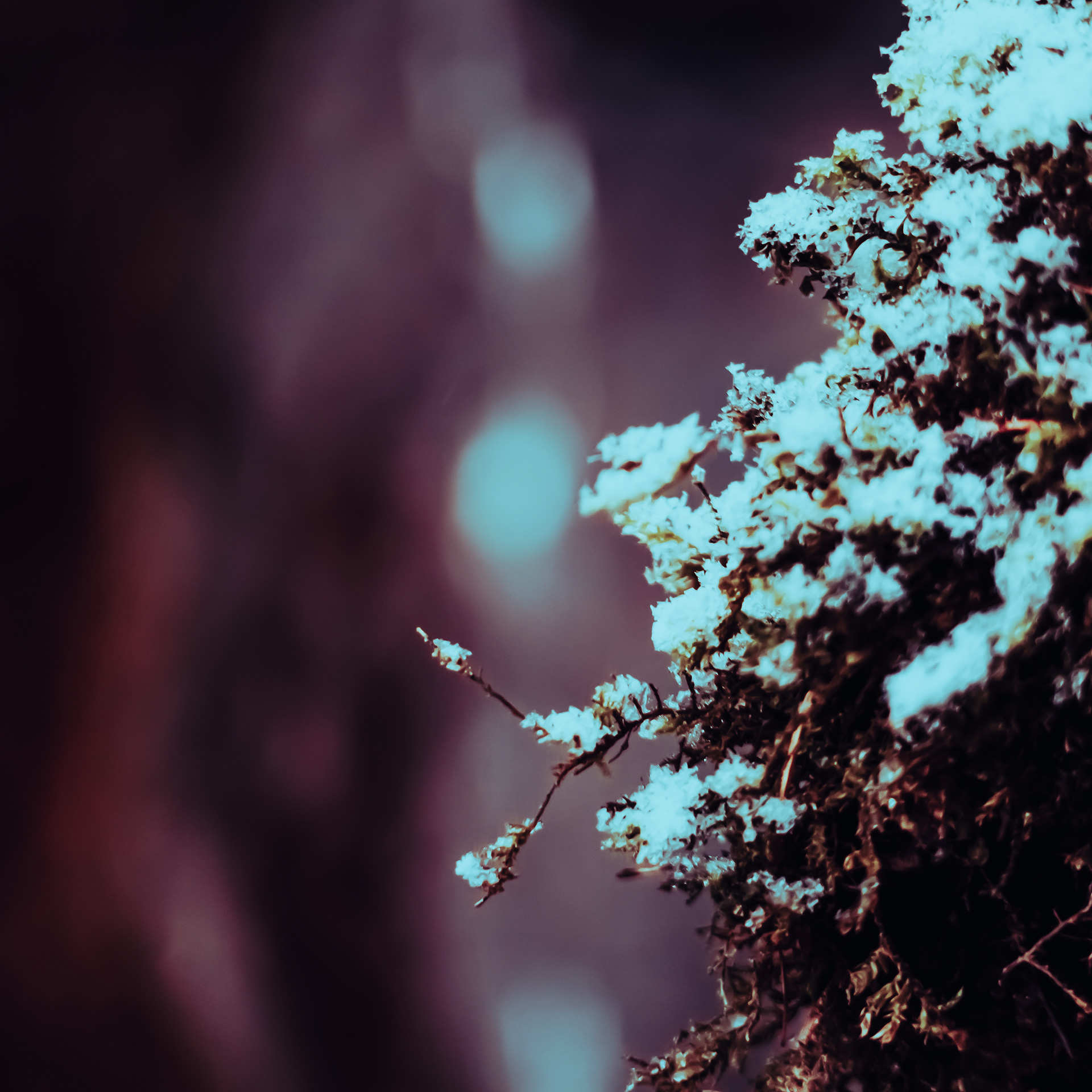 33/365