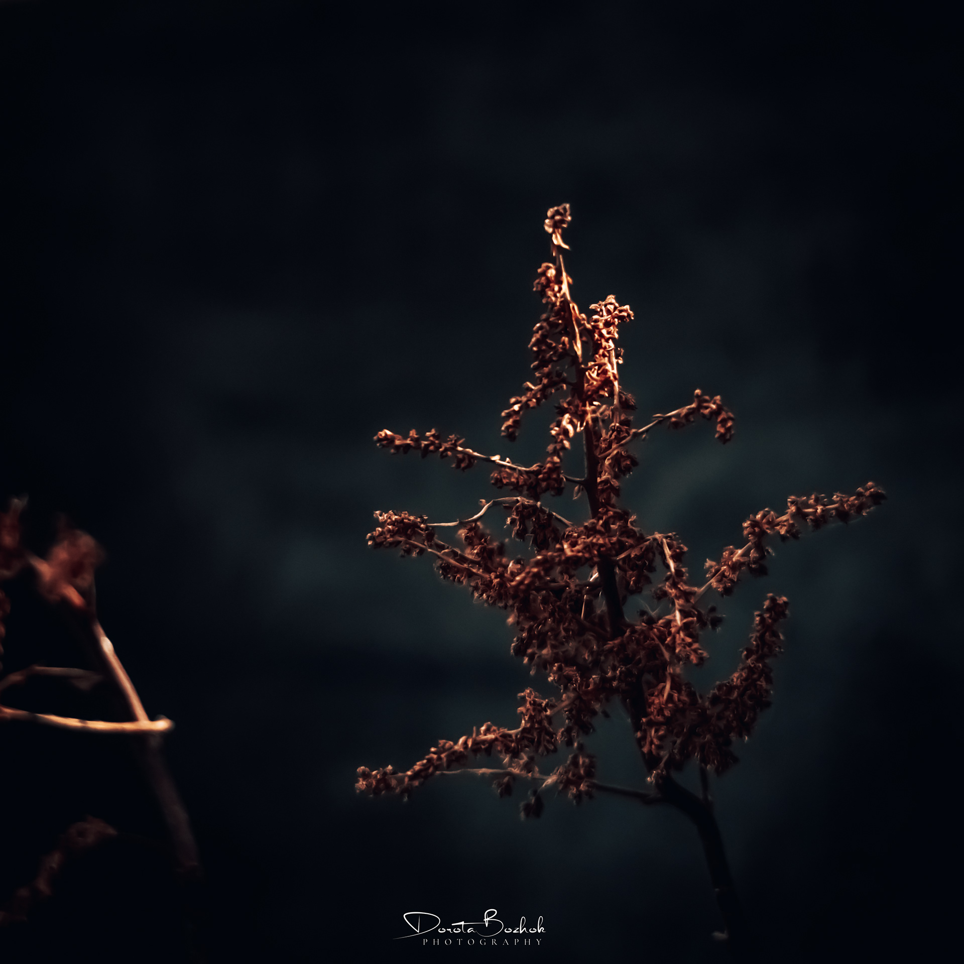 73/365