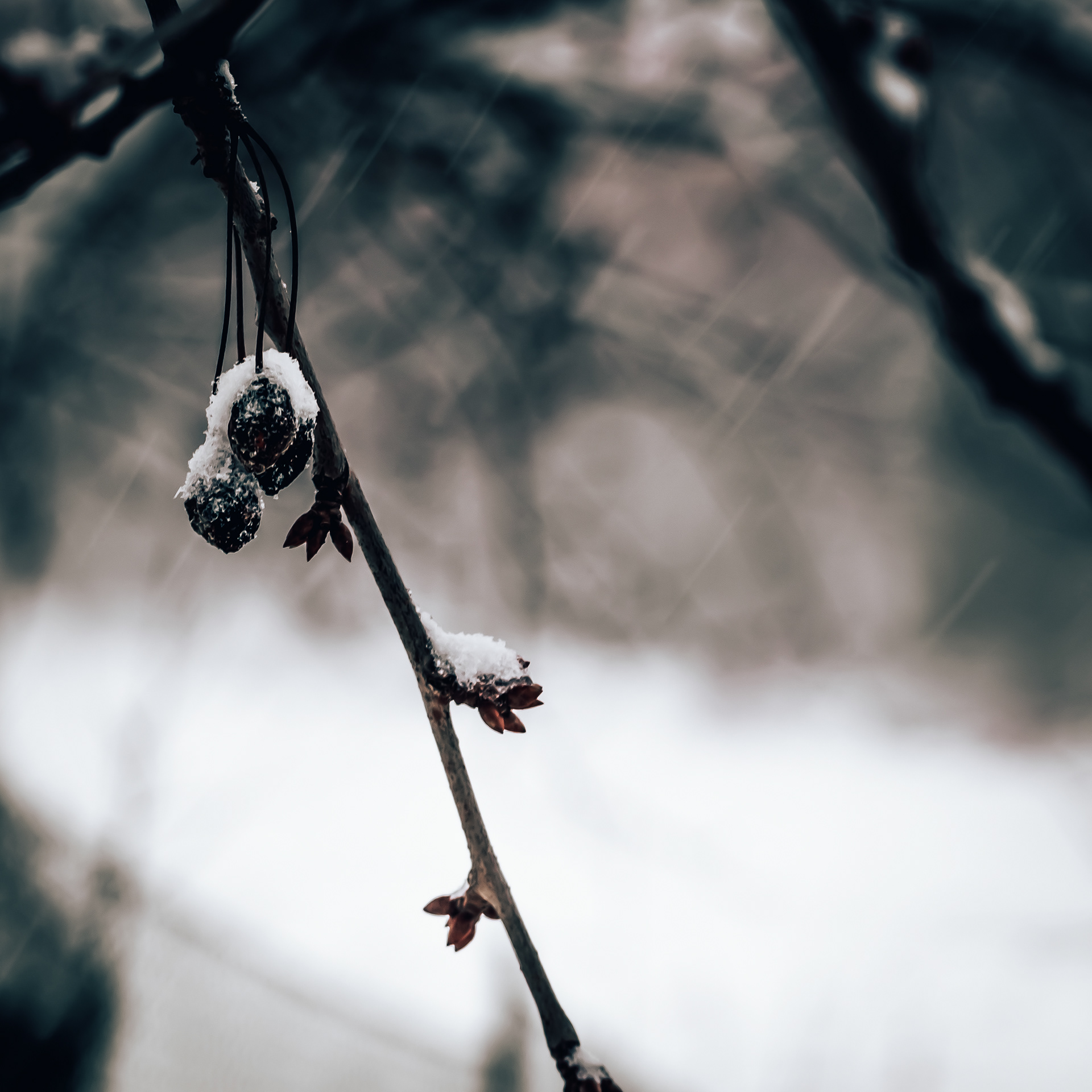56/365
