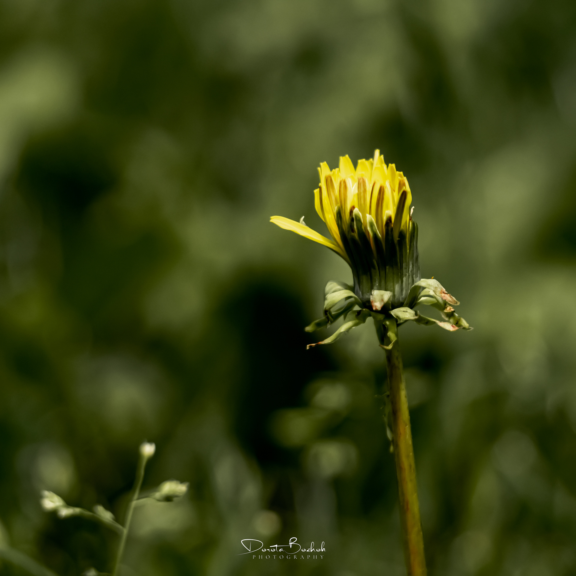 194/365