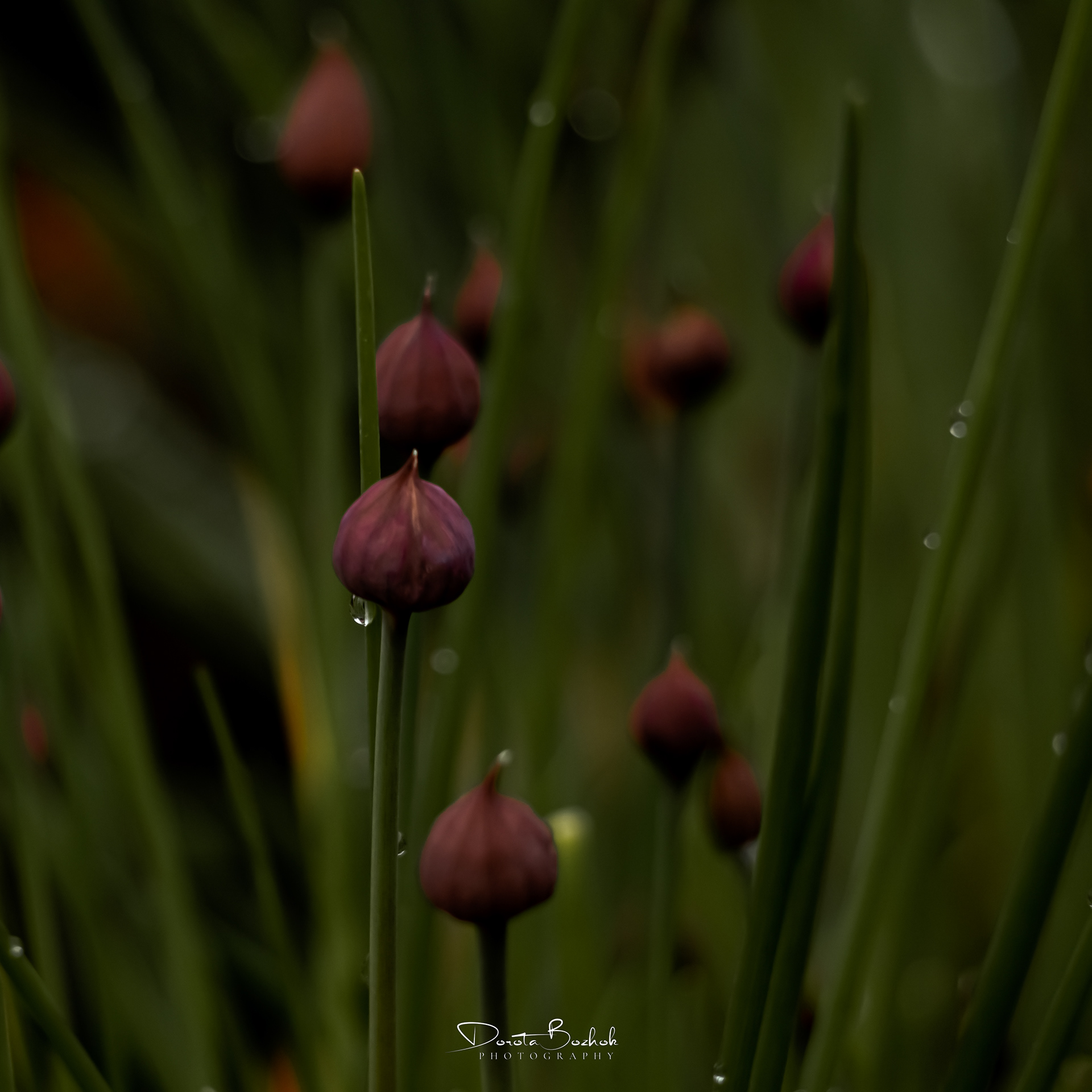 127/365