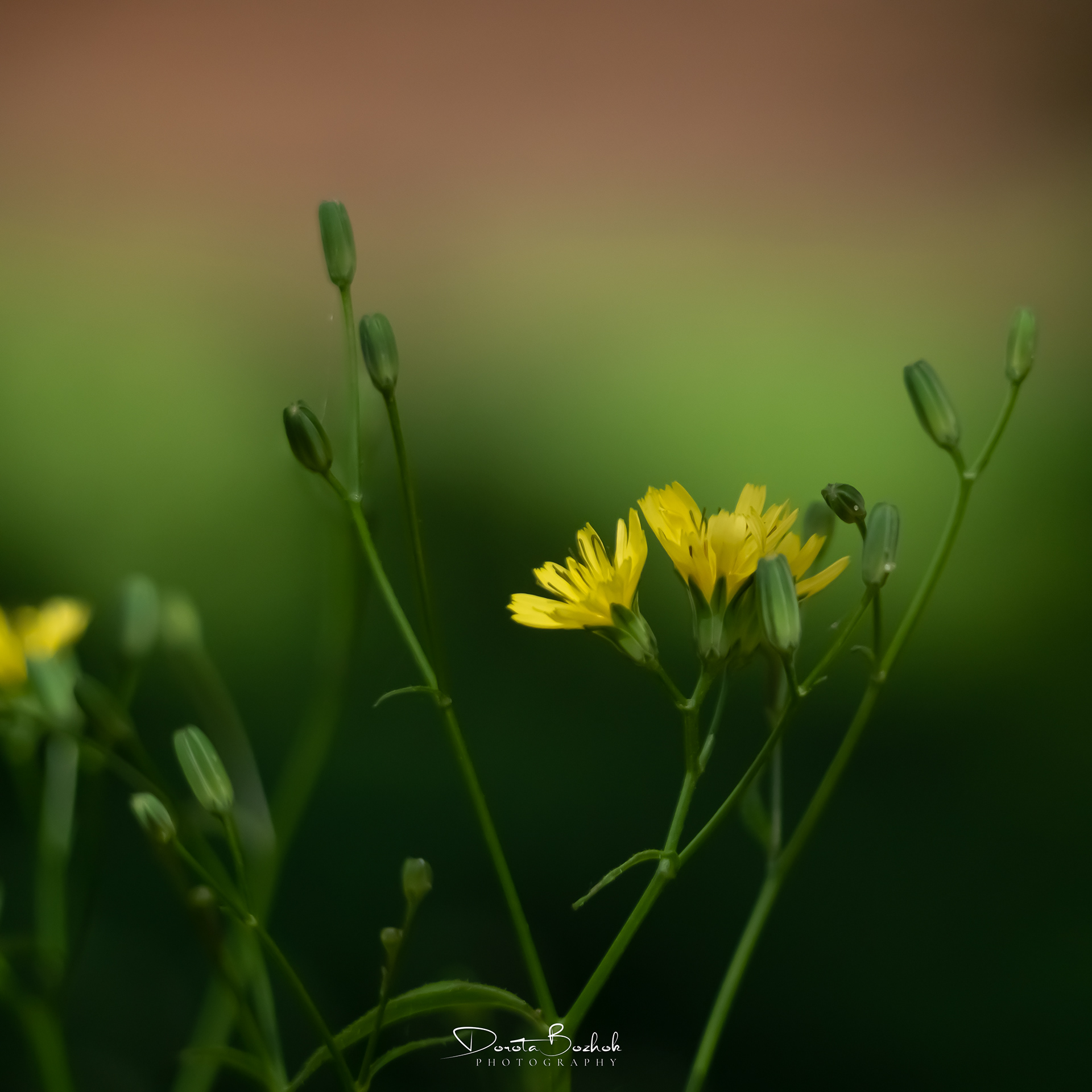 178/365