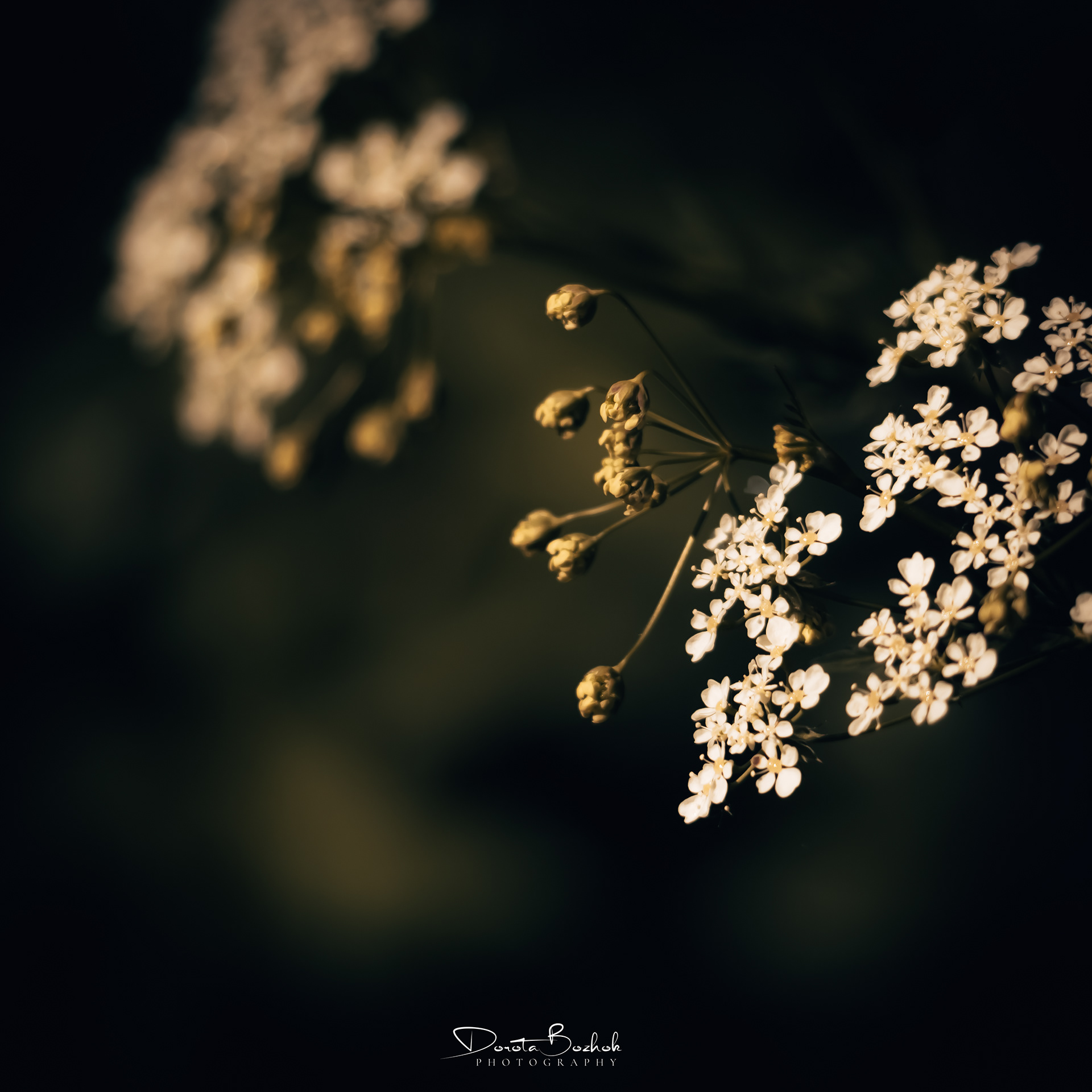 150/365