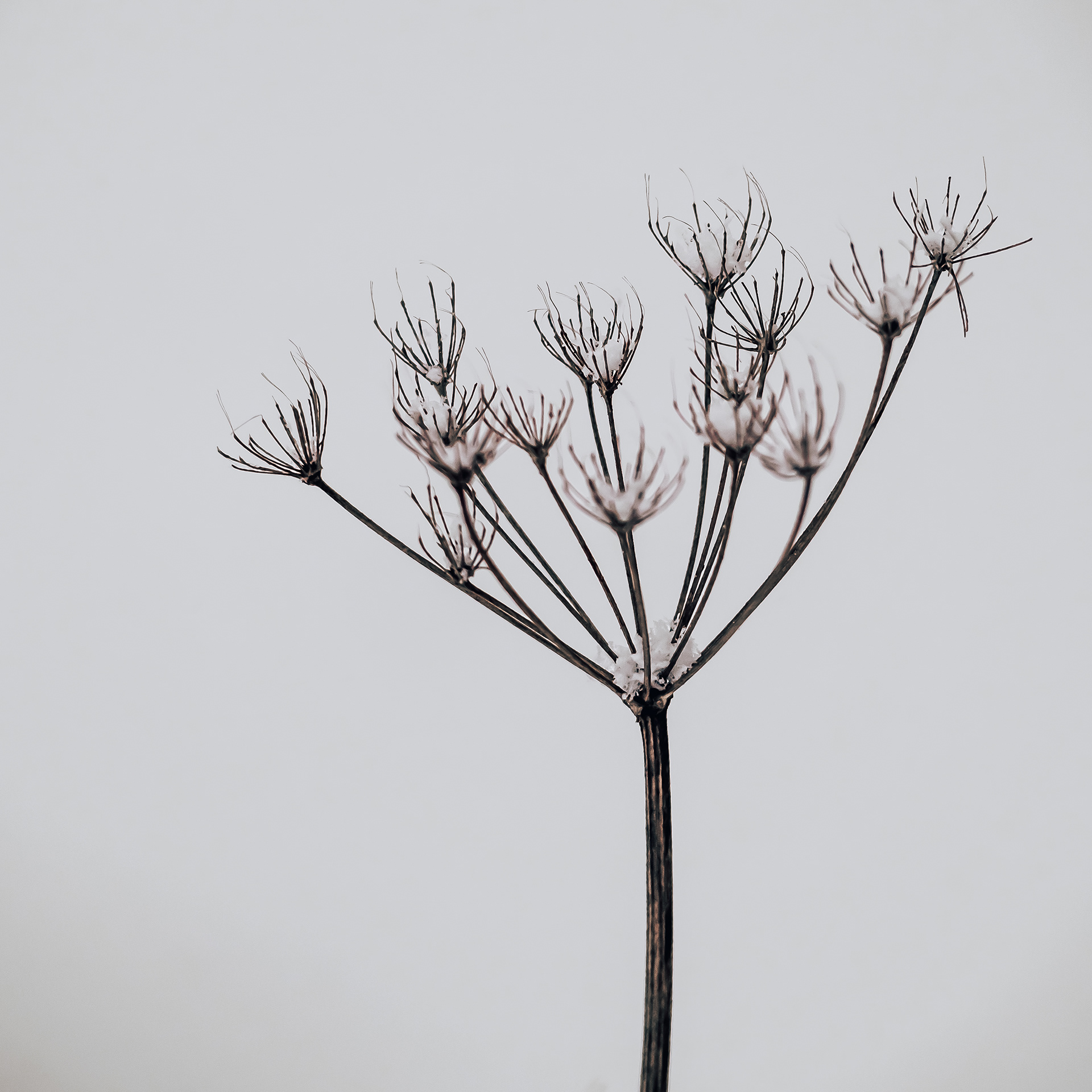 57/365
