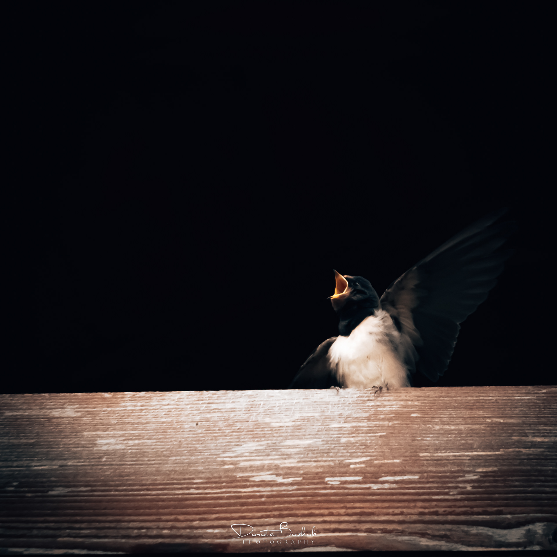179/365
