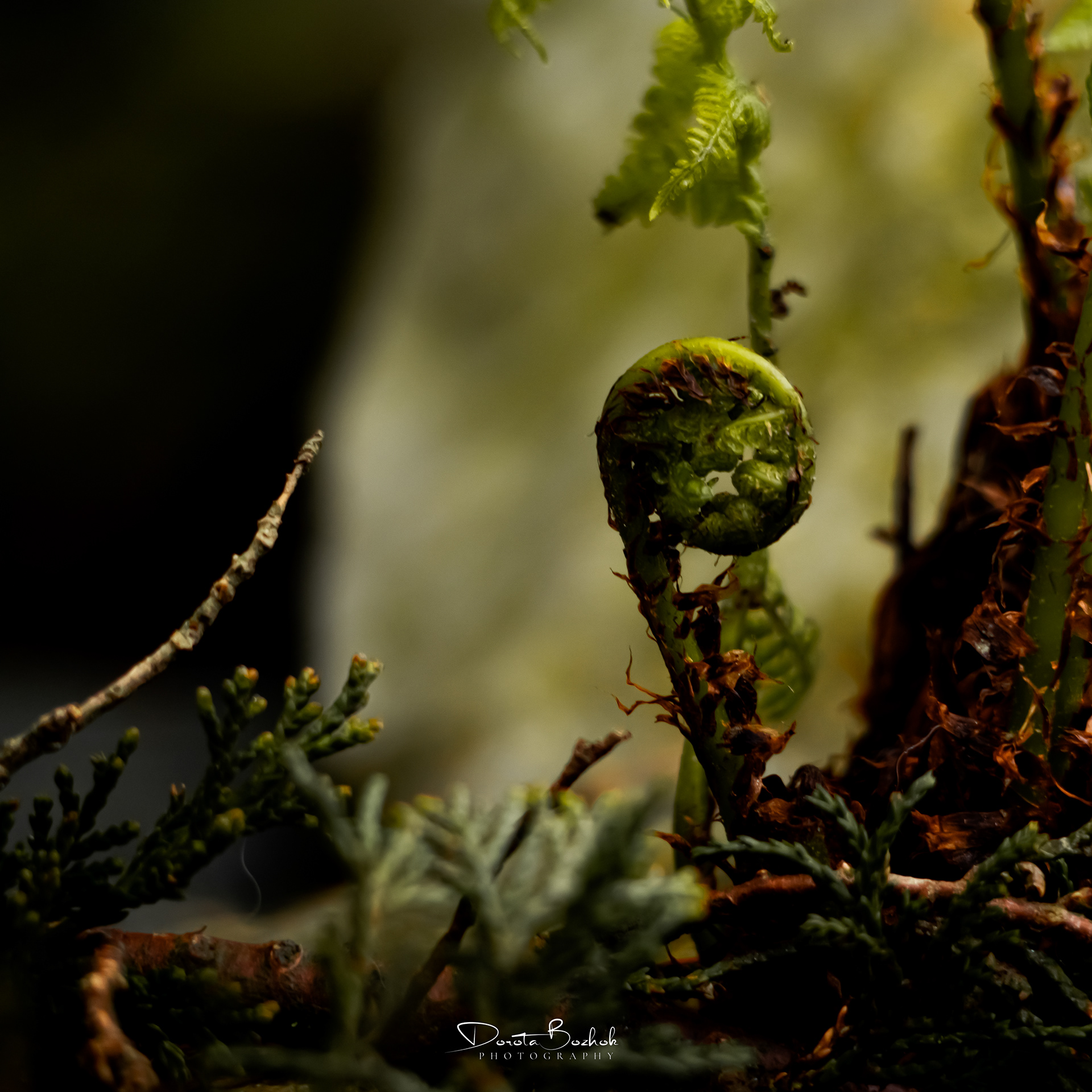126/365