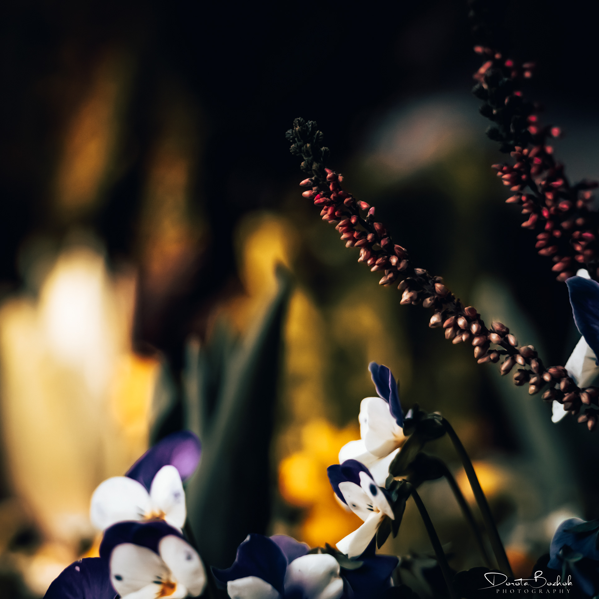 81/365