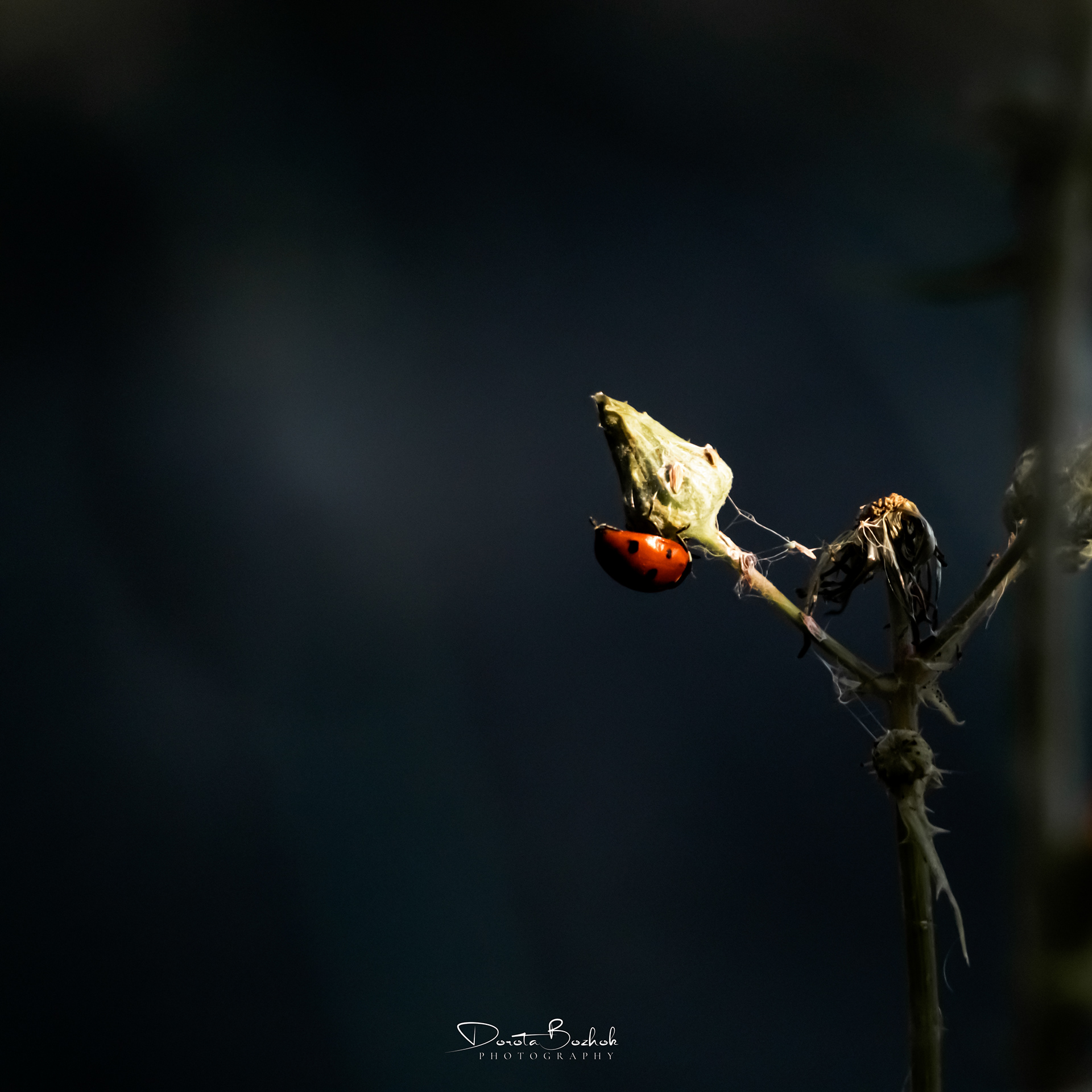 199/365