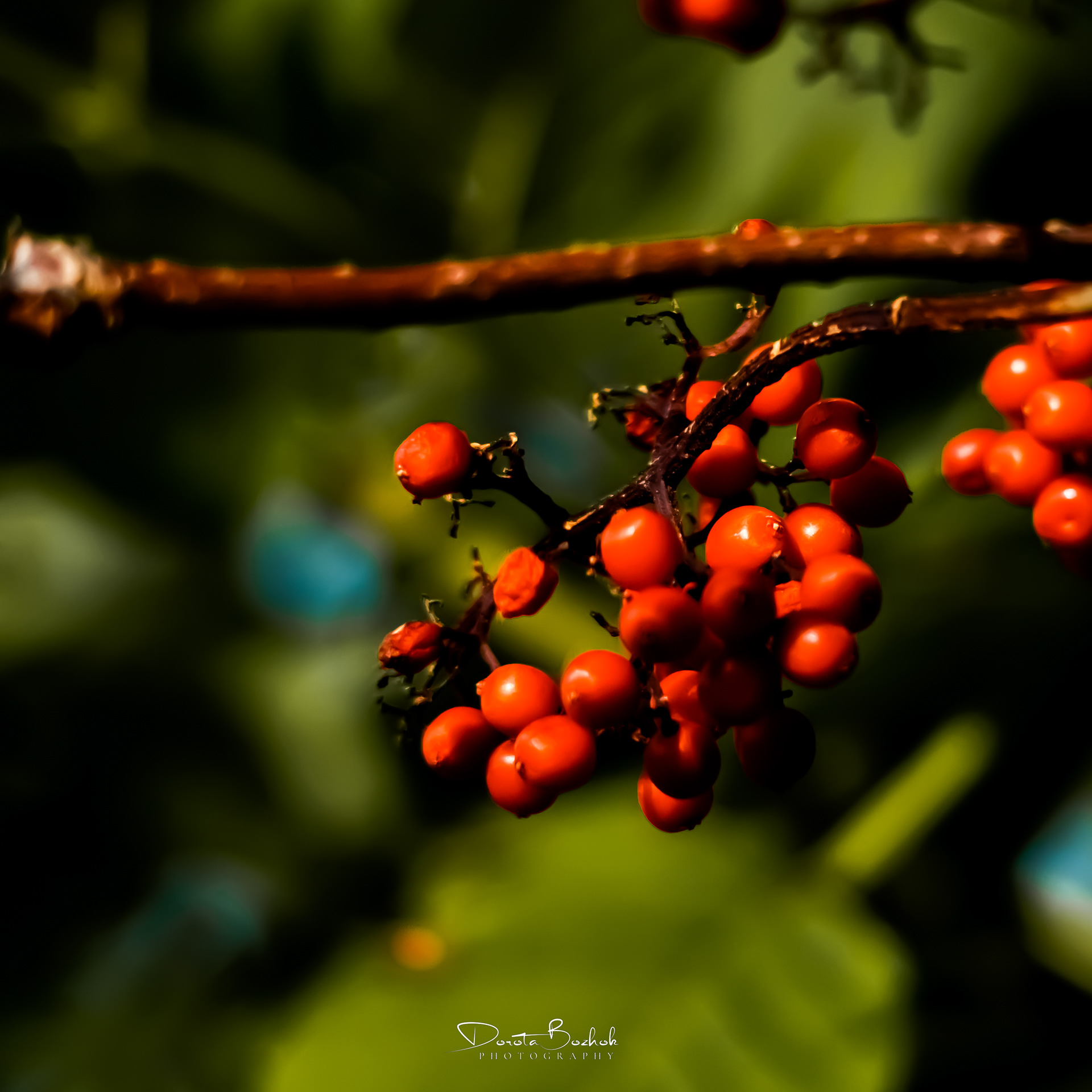 210/365
