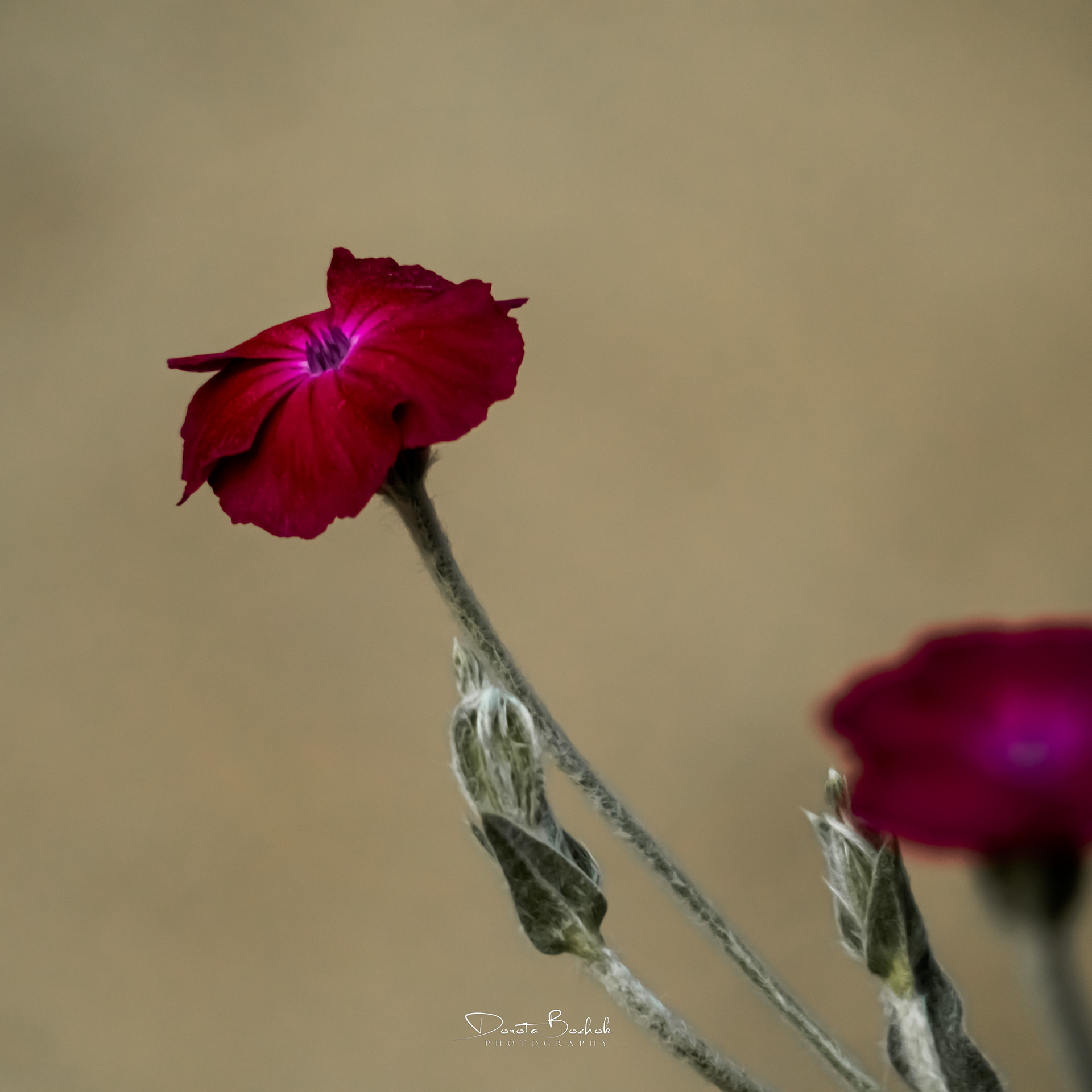 190/365