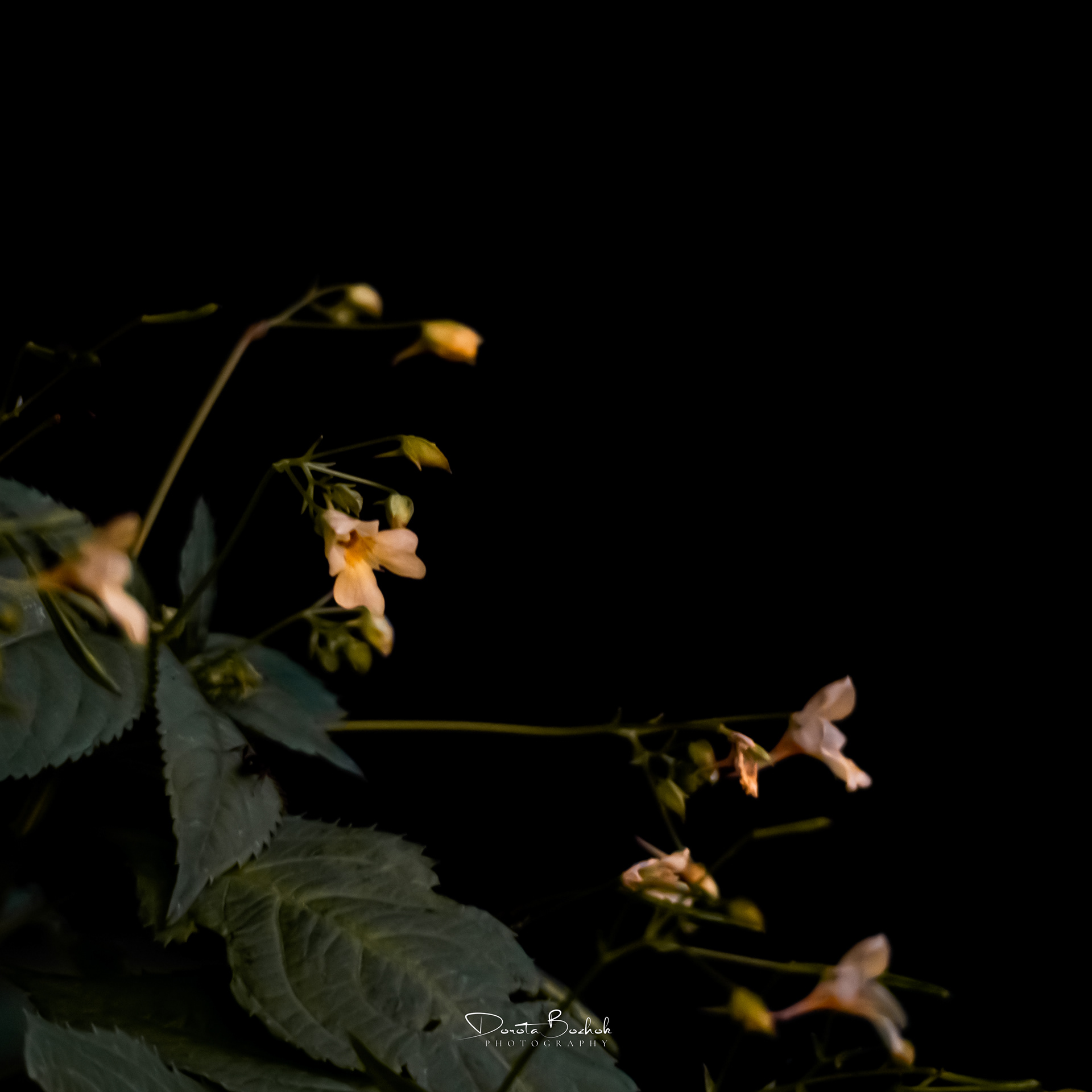 189/365