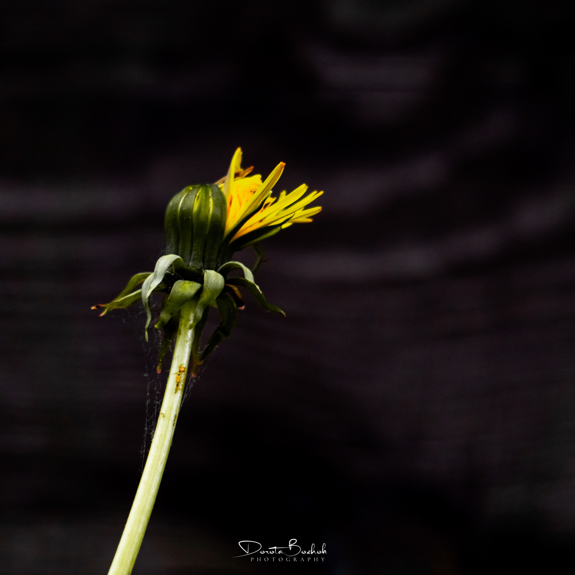 143/365