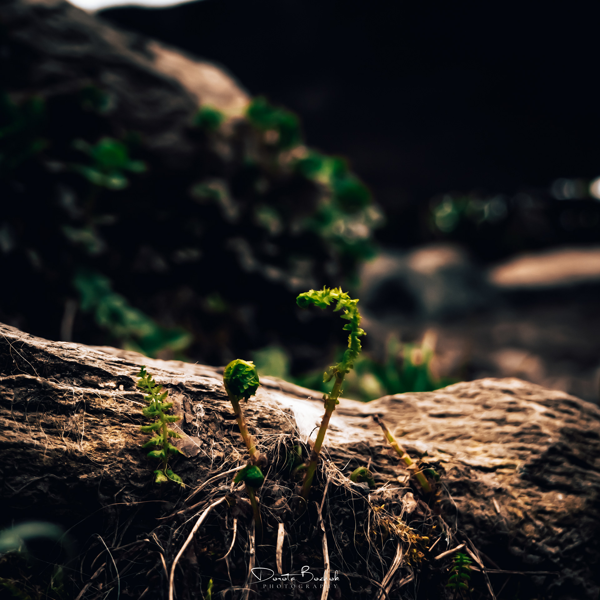 114/365