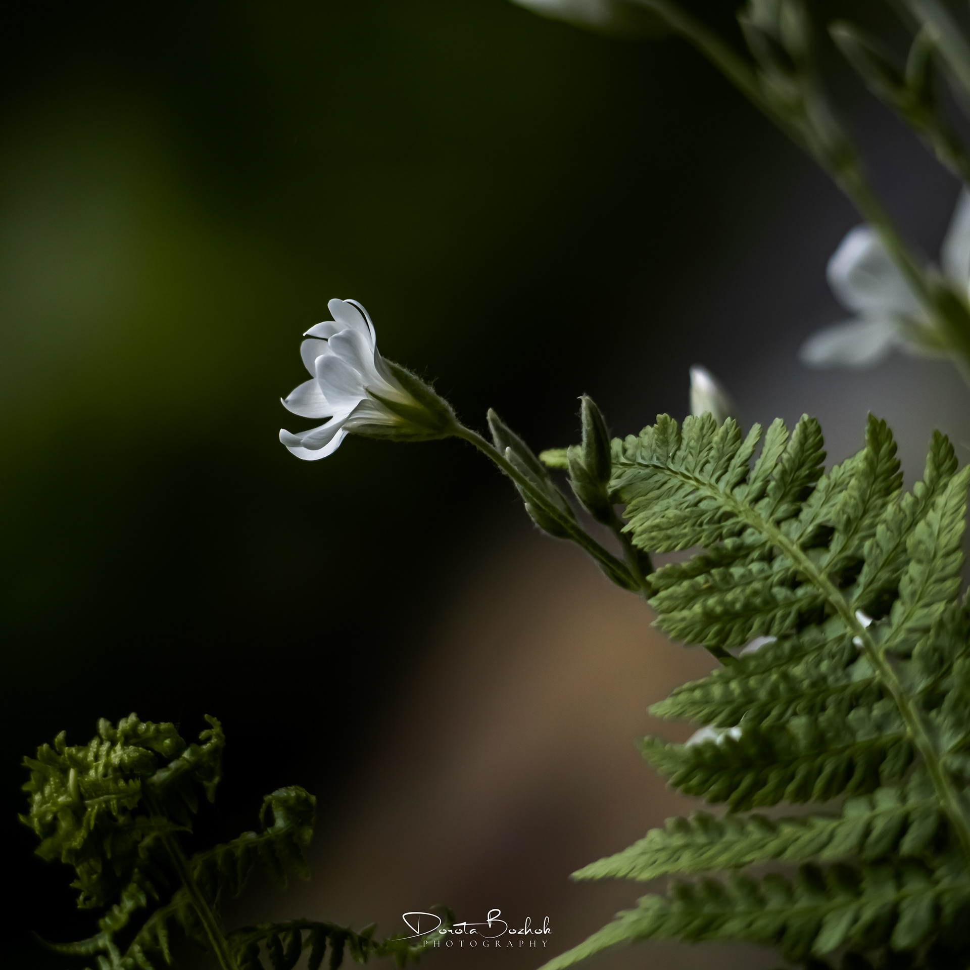 153/365