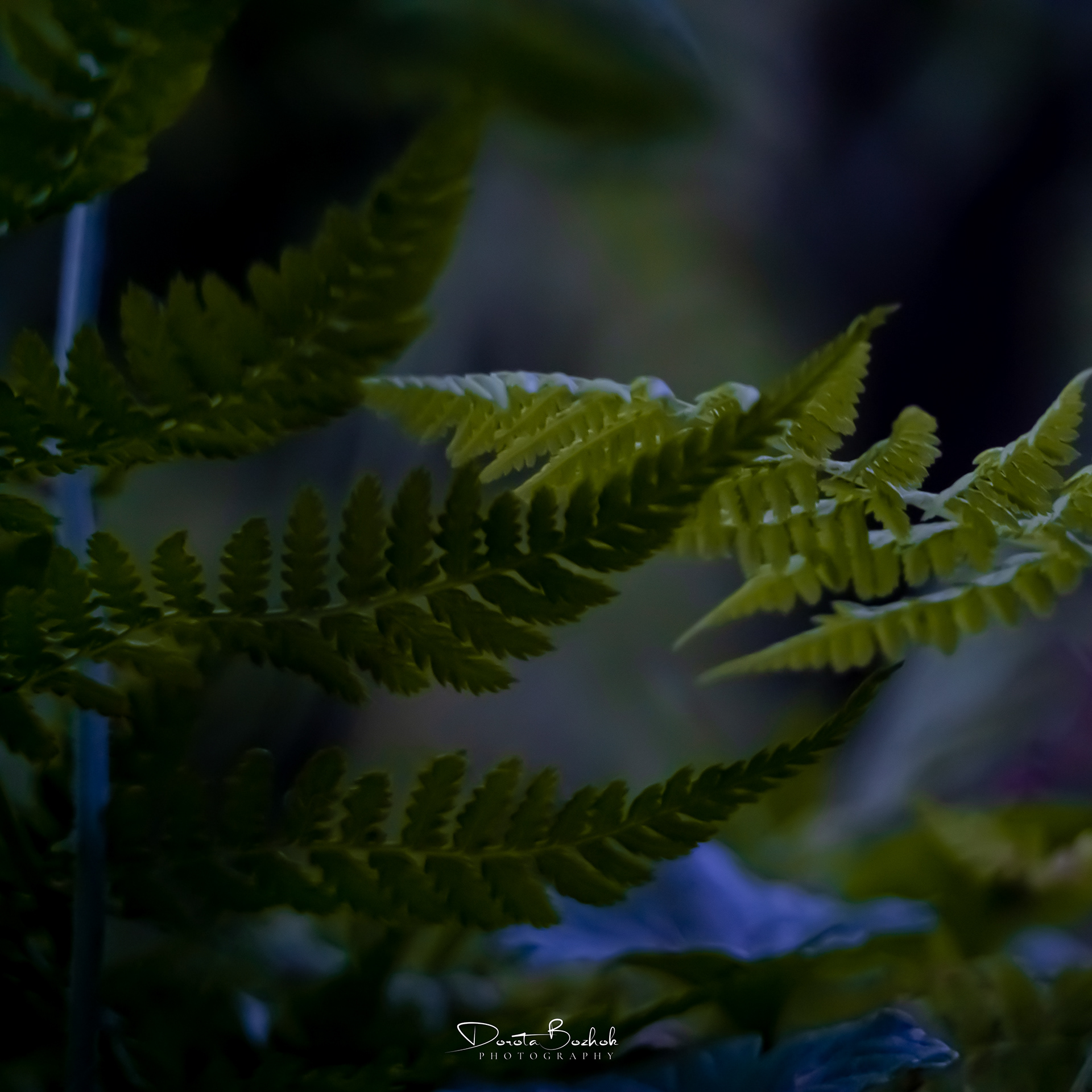 224/365