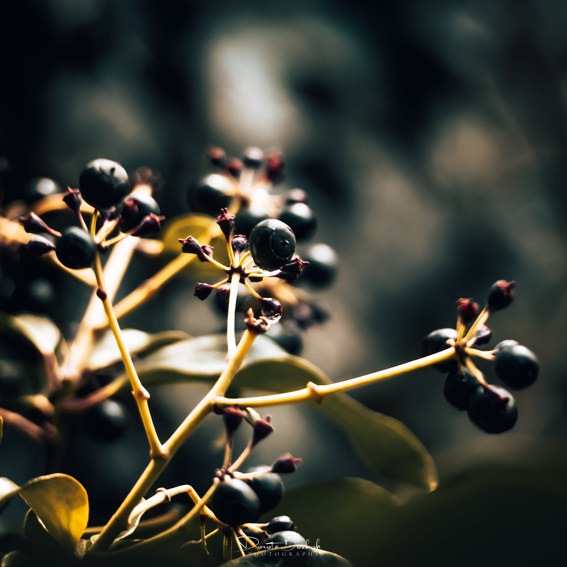 98/365