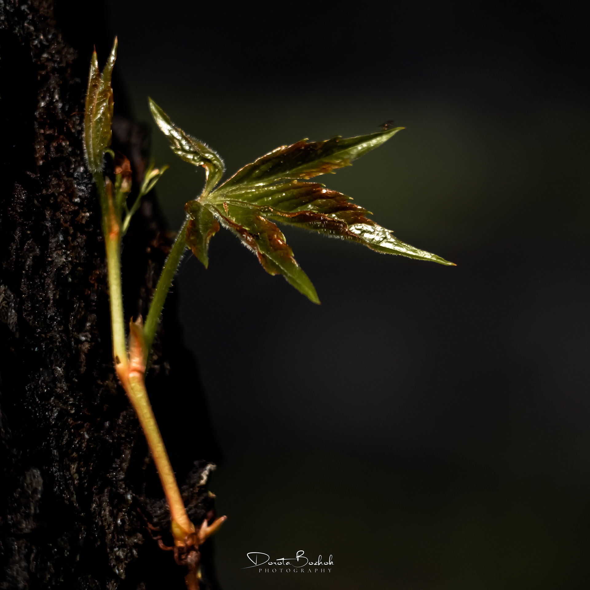 135/365