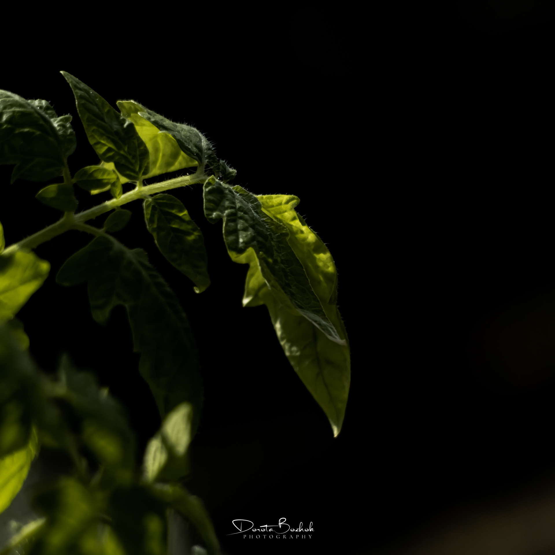 124/365