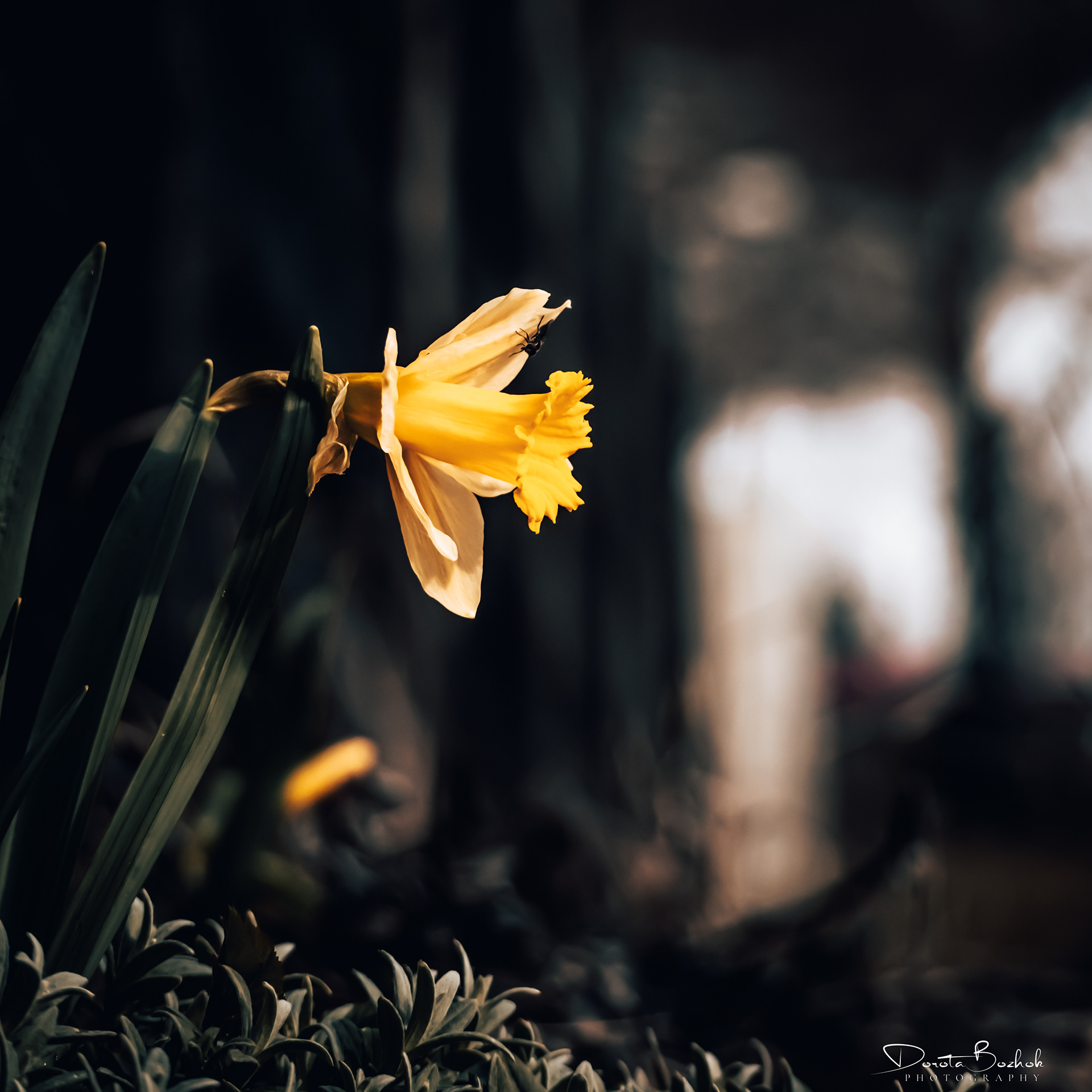 82/365