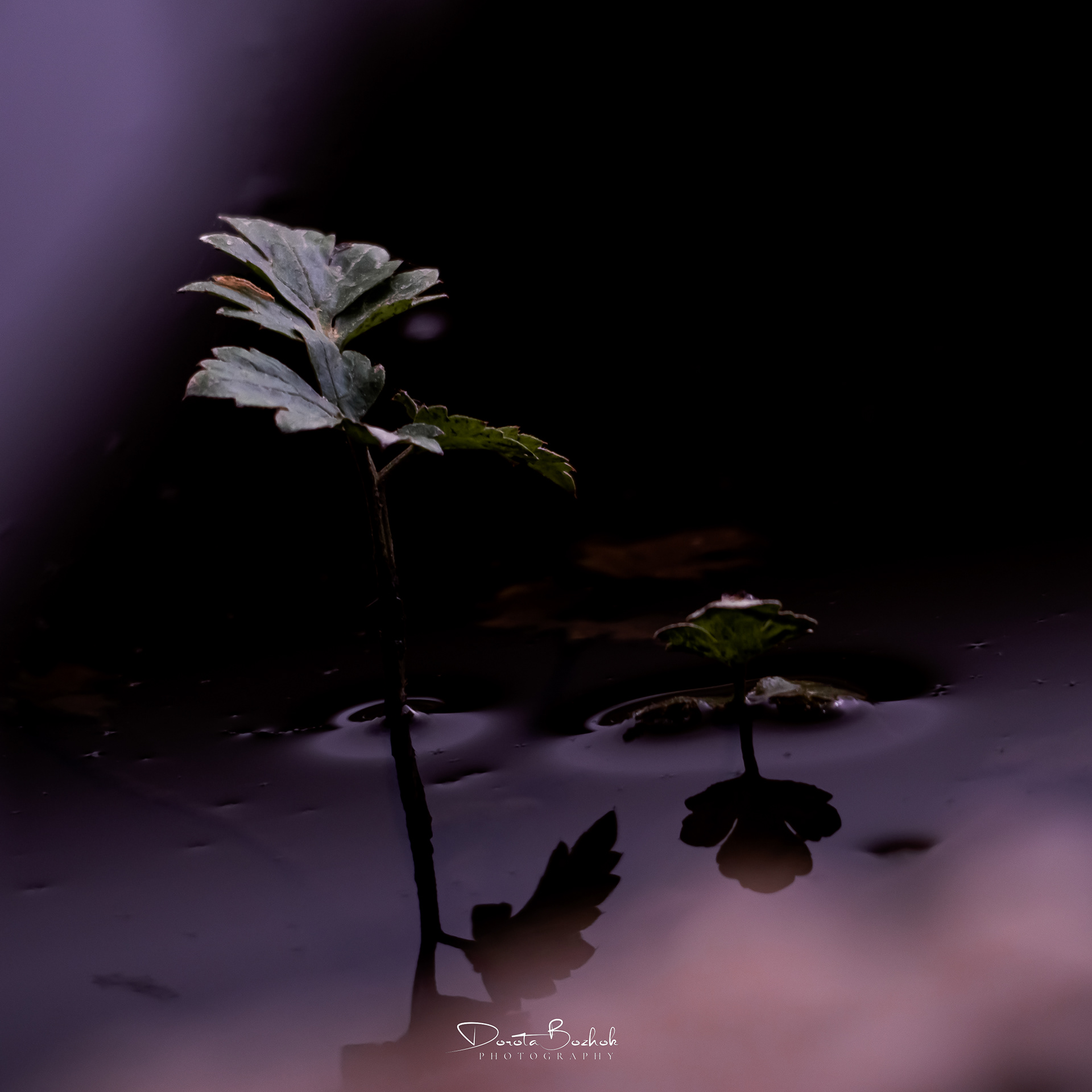 139/365