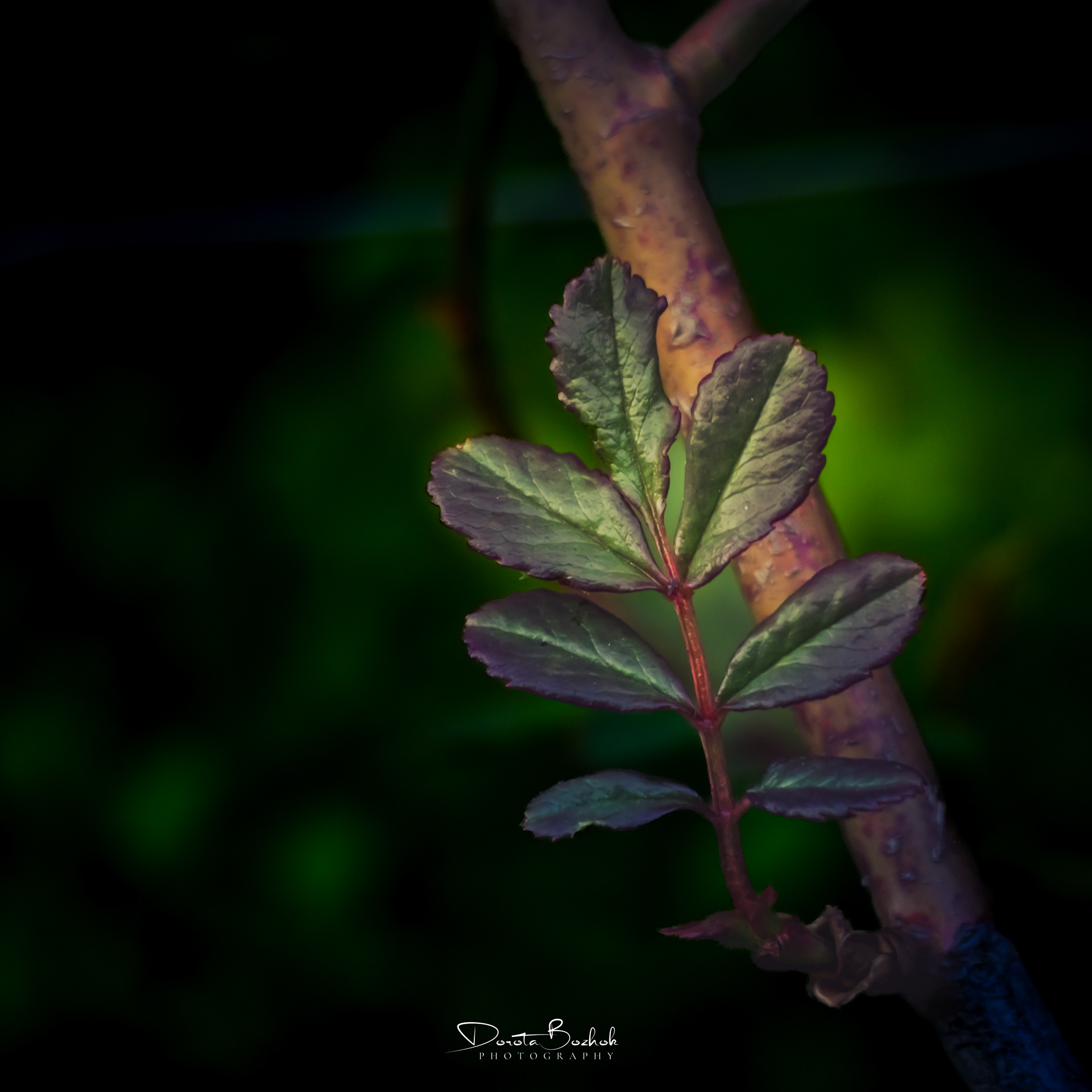 129/365