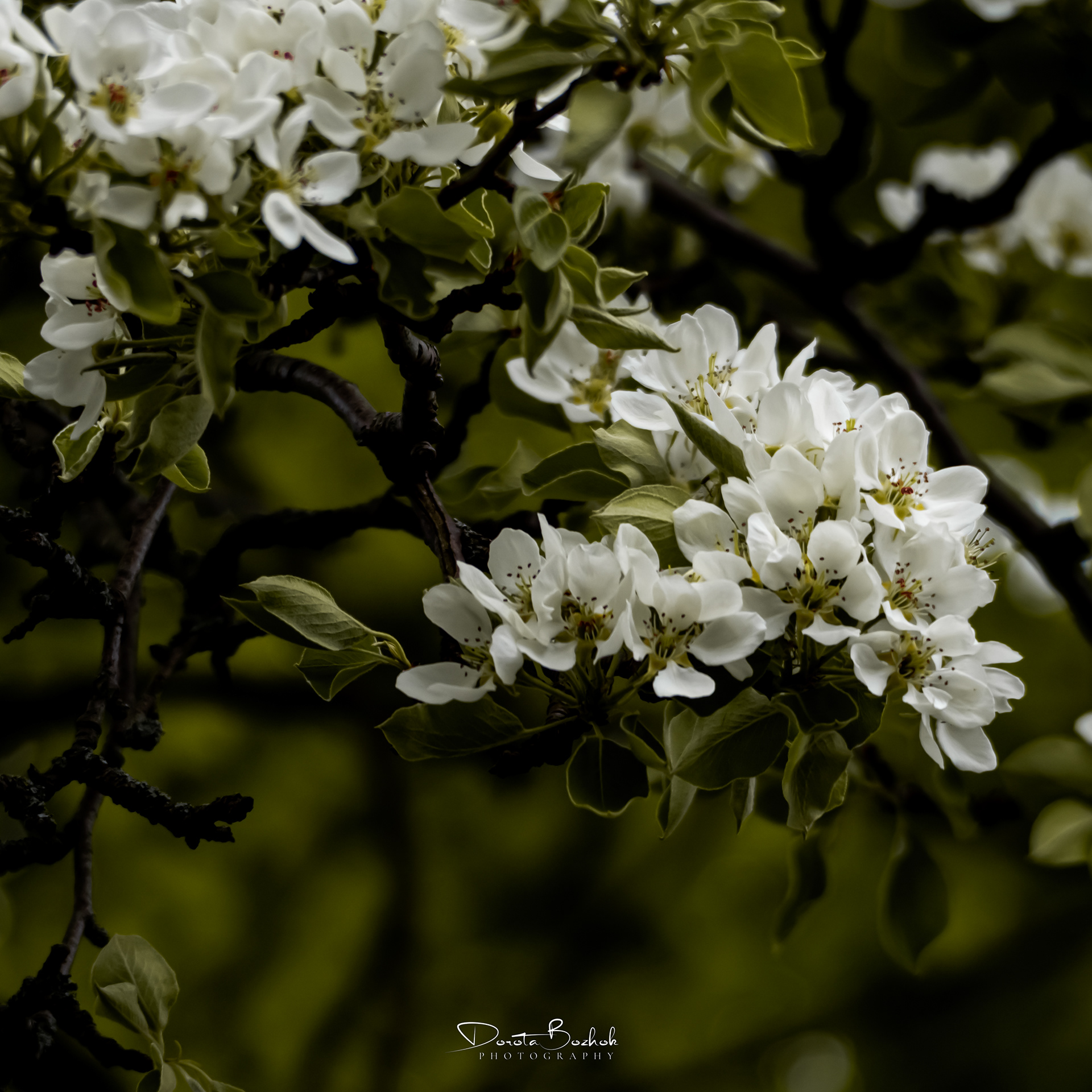 131/365