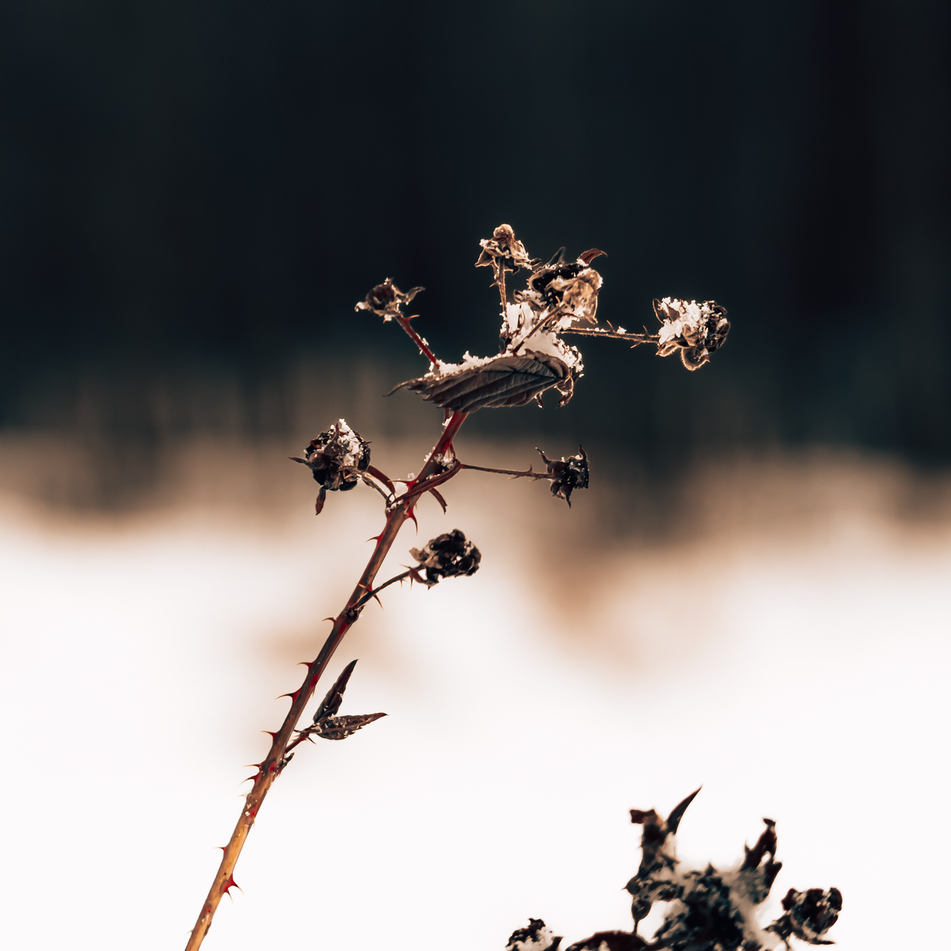 35/365